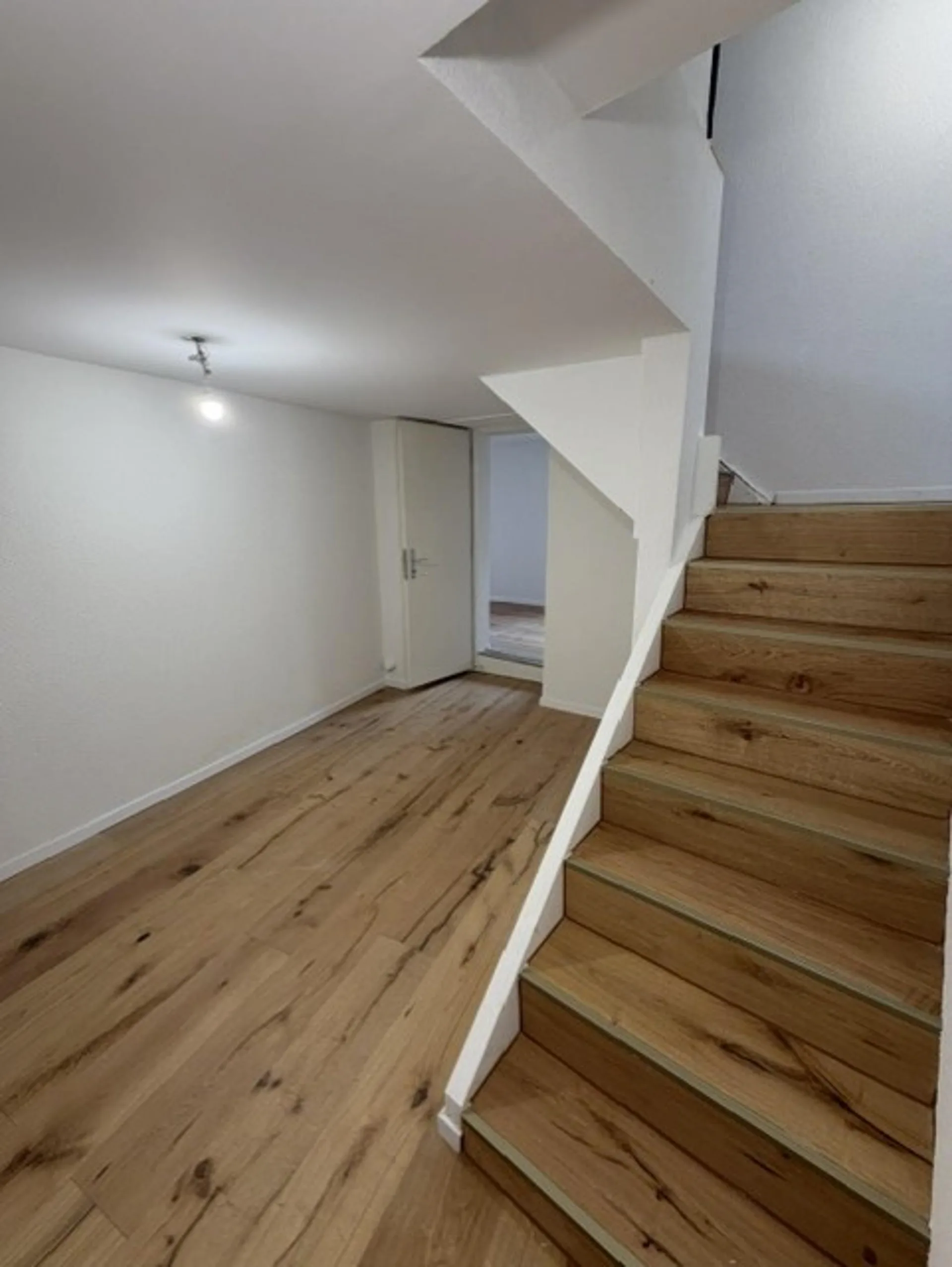 Charming Duplex Apartment in Liestal with Balcony