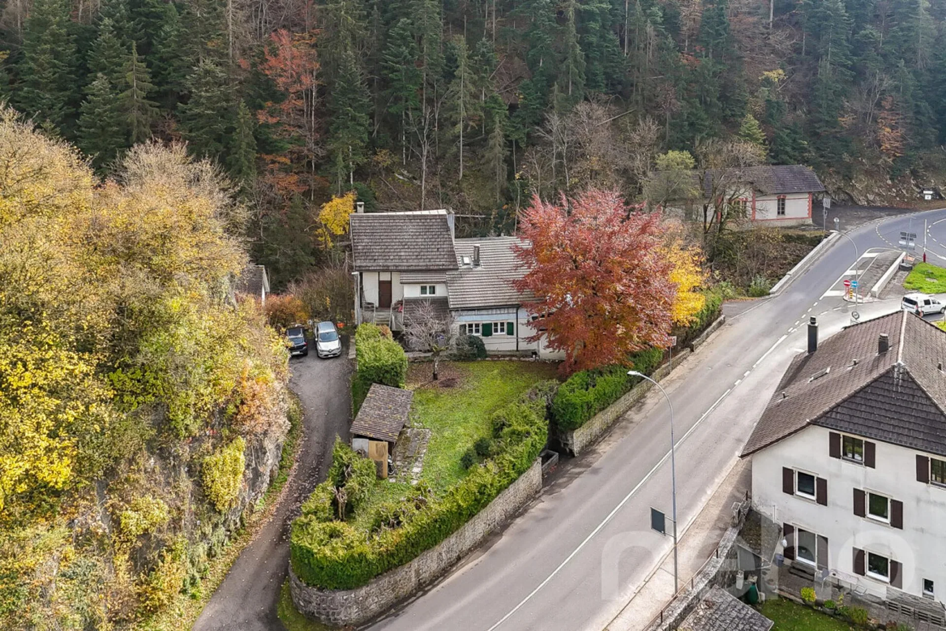 Prime location Home with 2 units, large garden and forest views