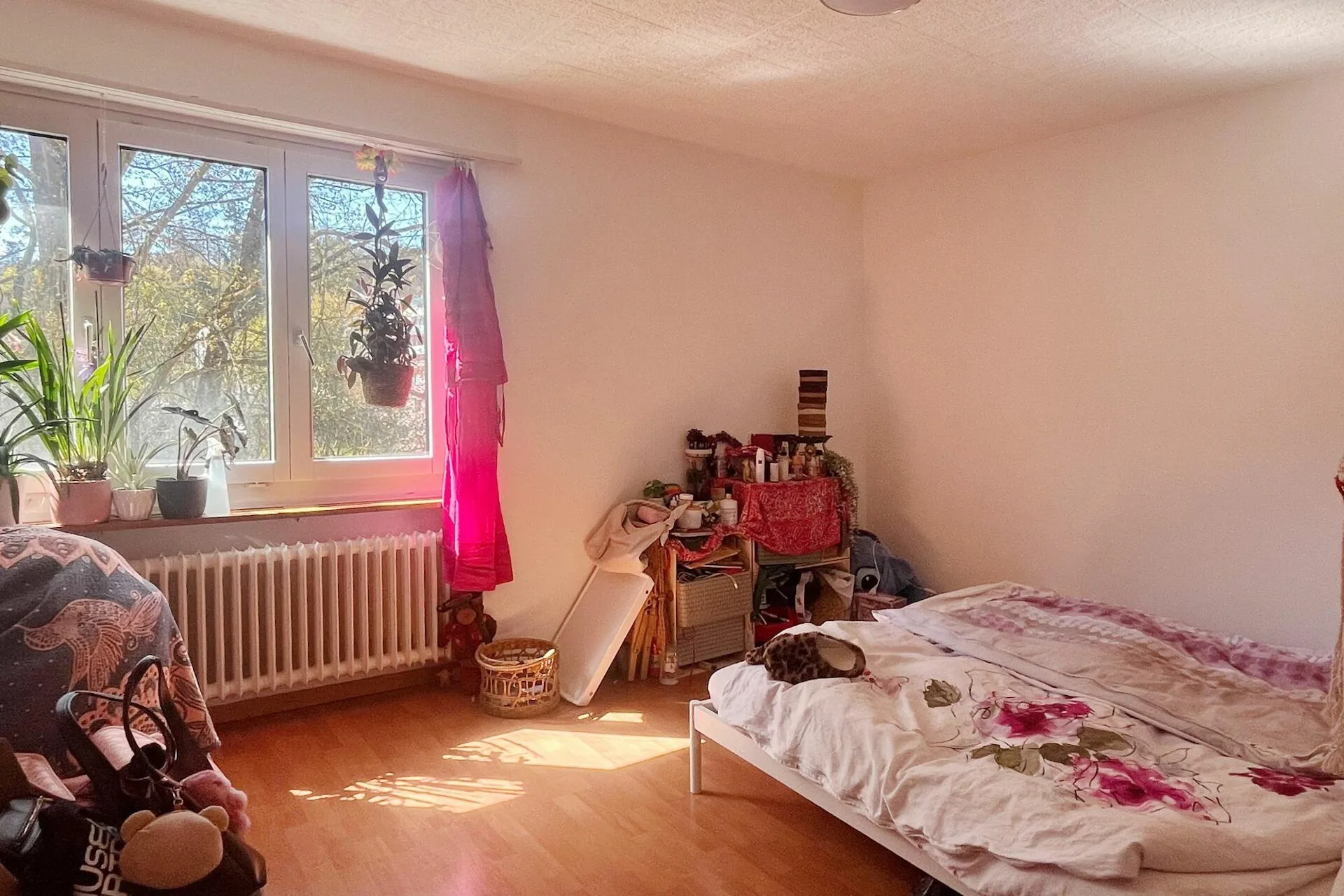 Bild 7