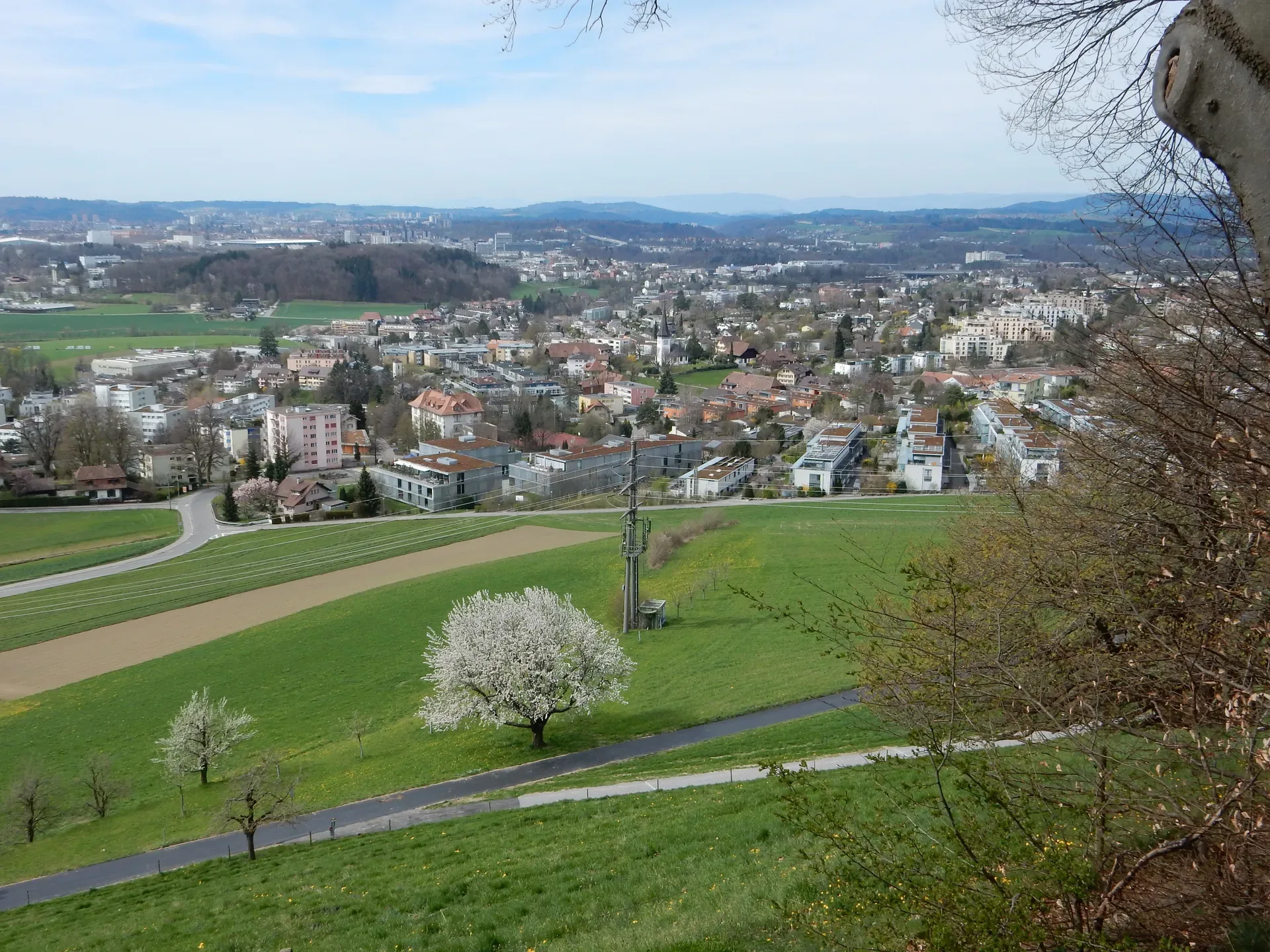 3066 Stettlen