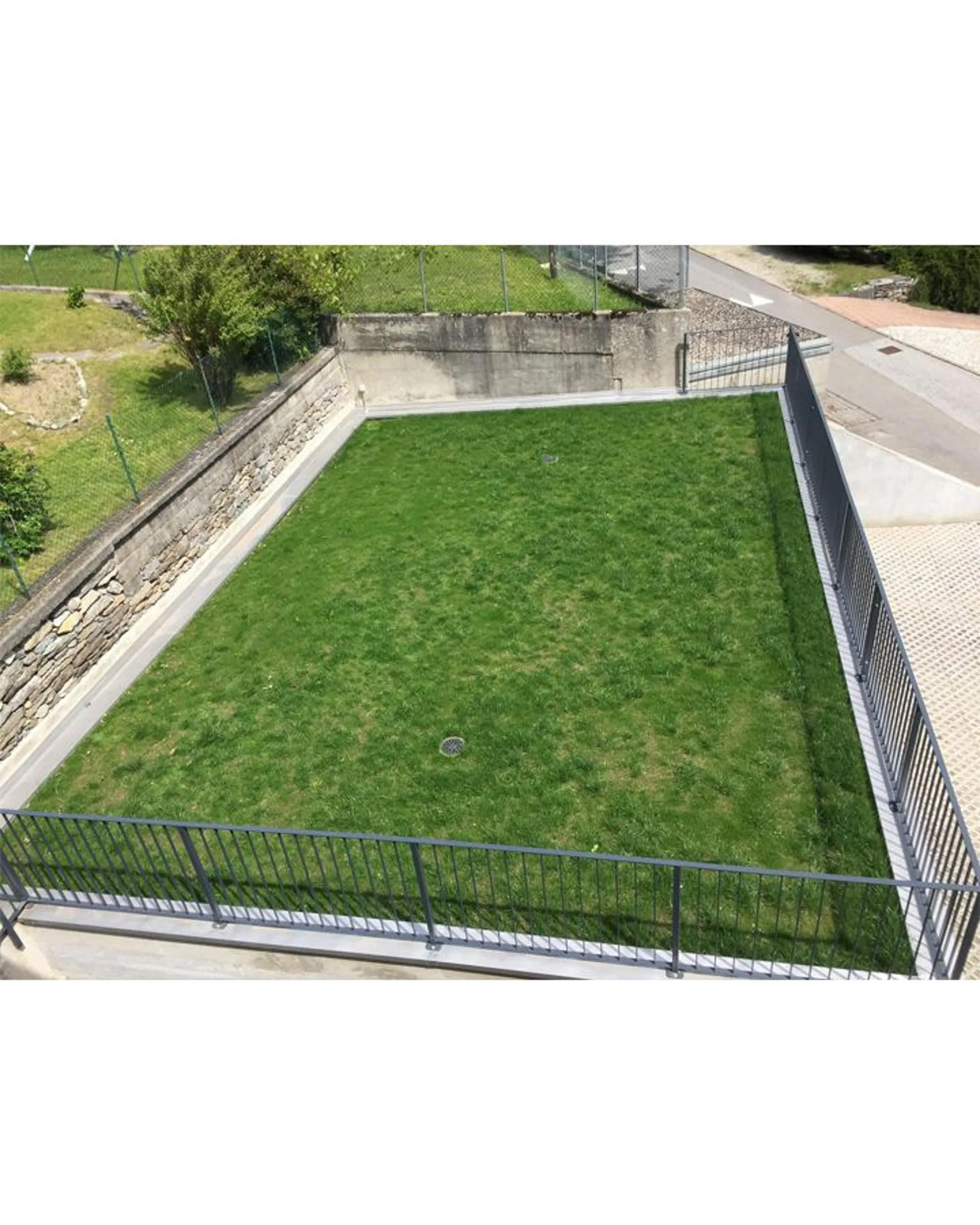 Image 12