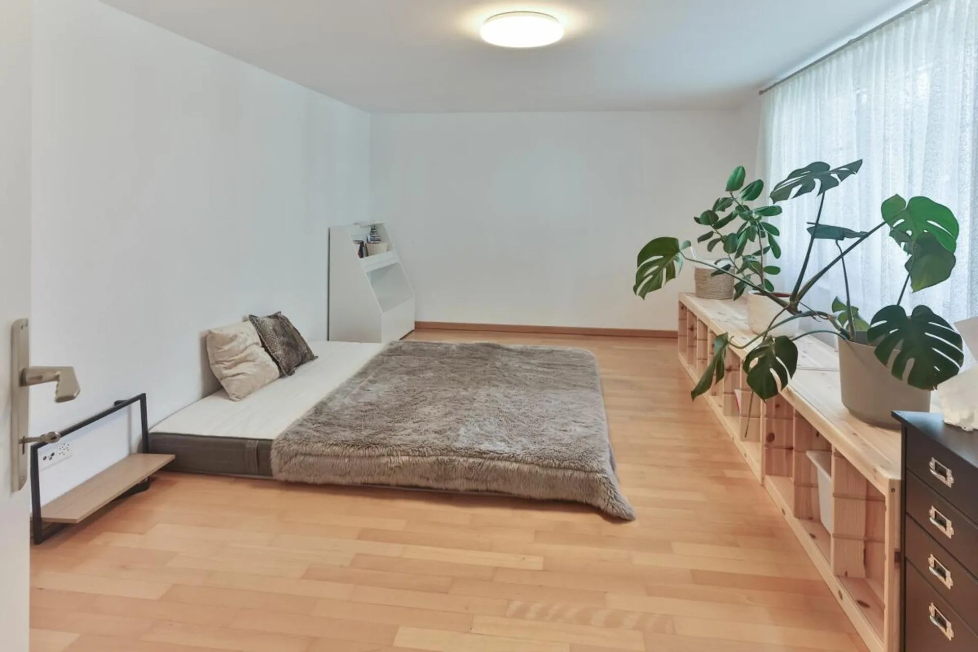 Bild 12