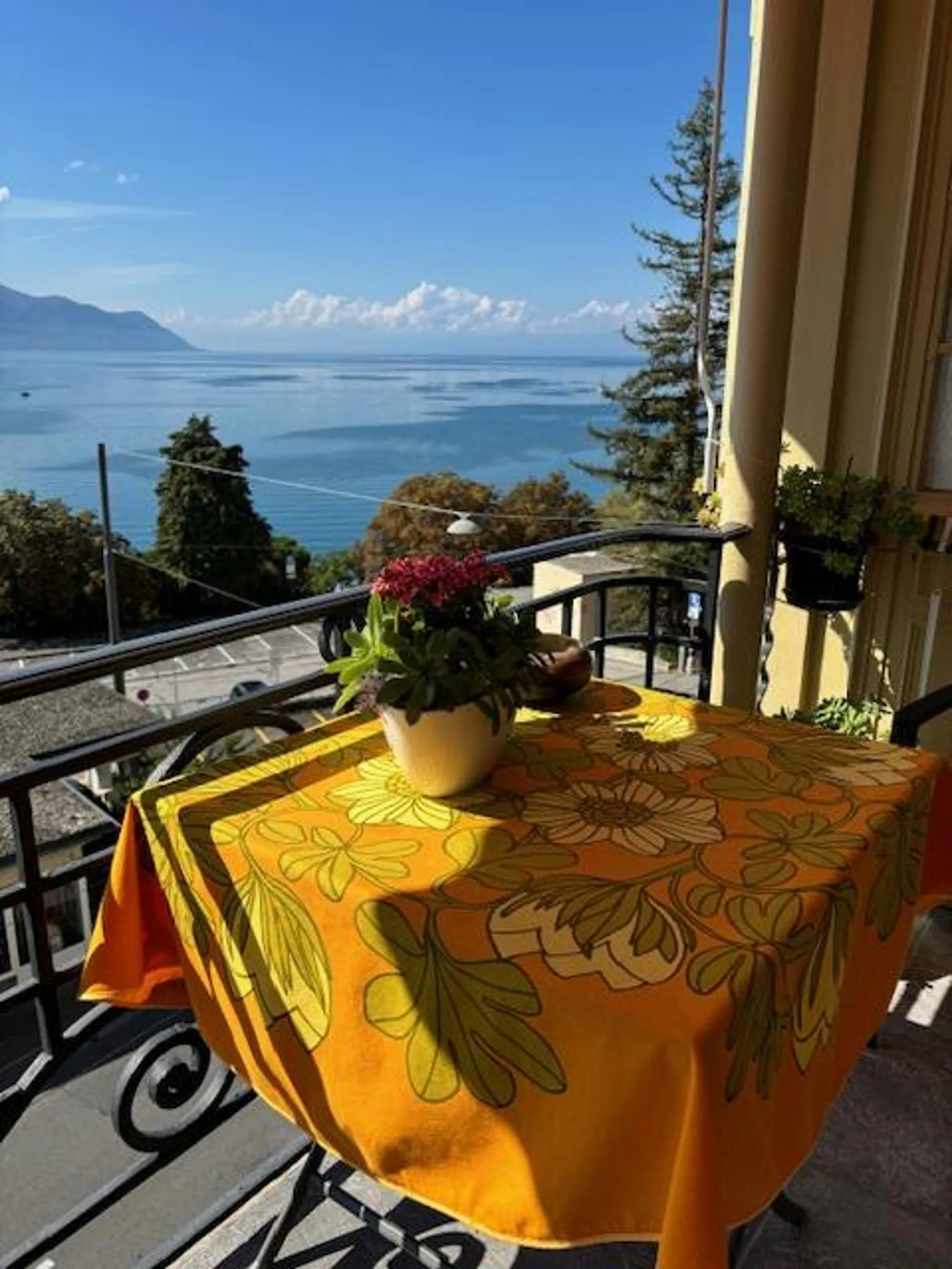 Magnifique 3.5 pièces meublé avec vue lac panoramique à Territet