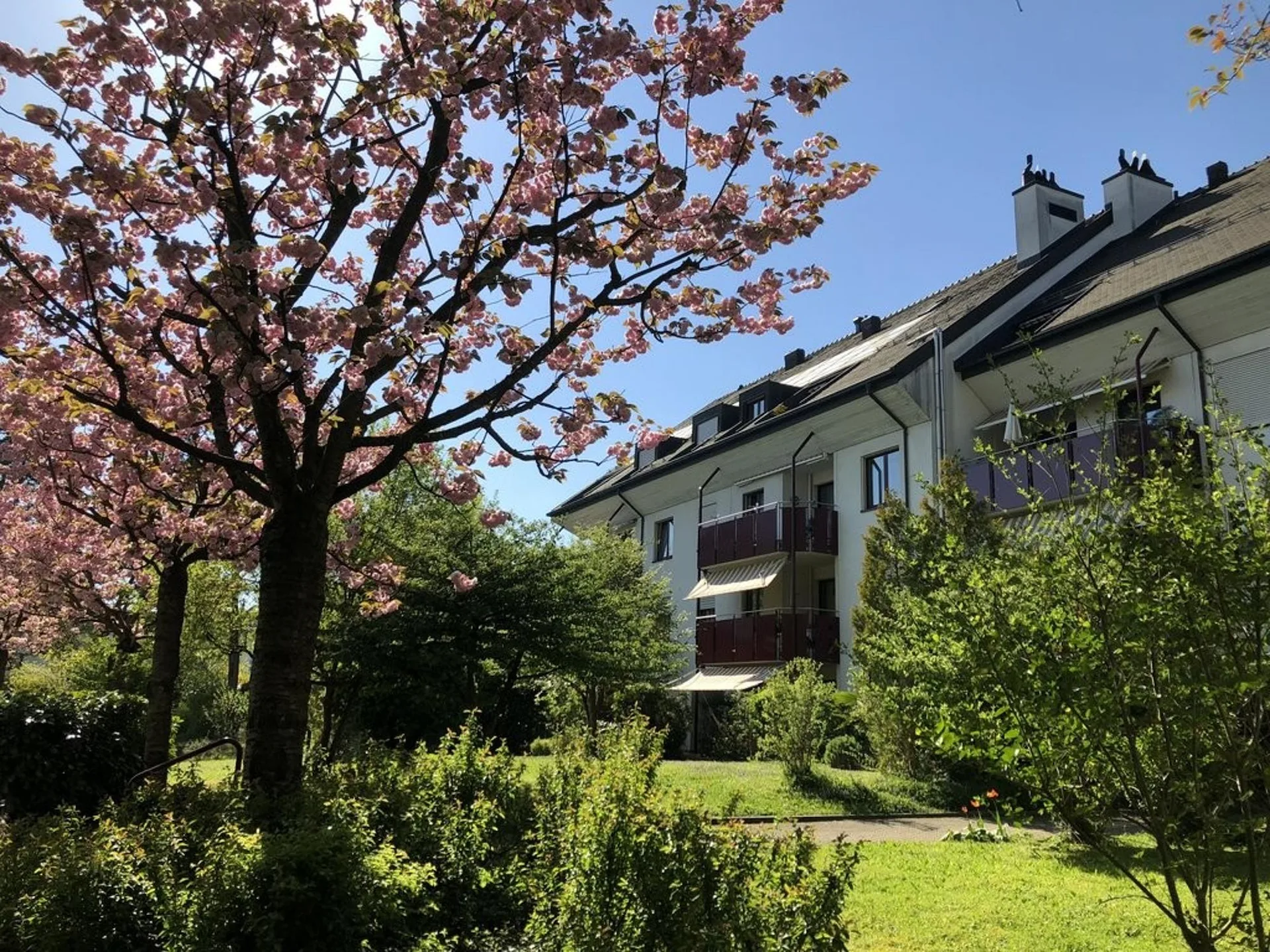 Familienwohnung in Basel