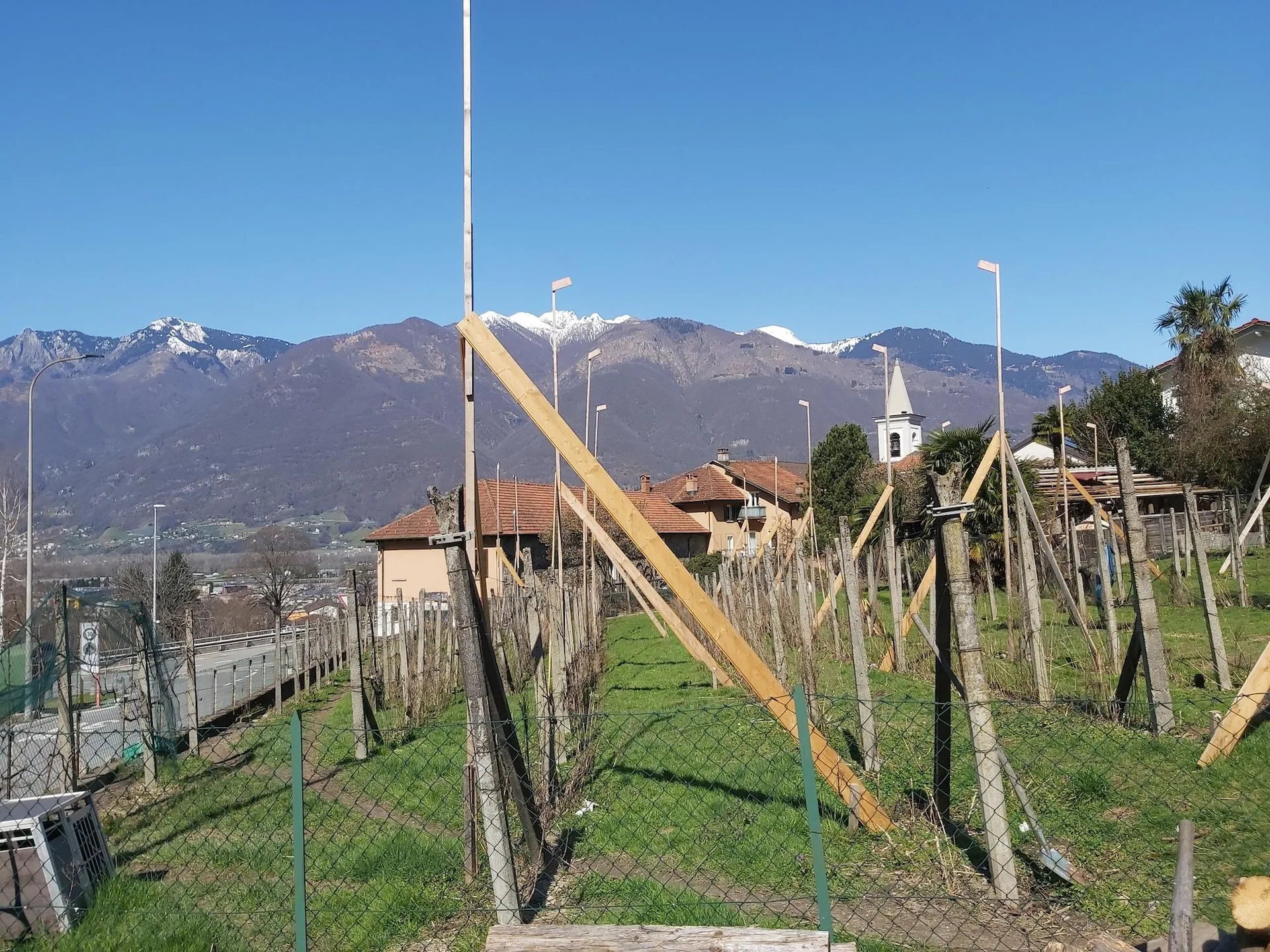 Immagine 7