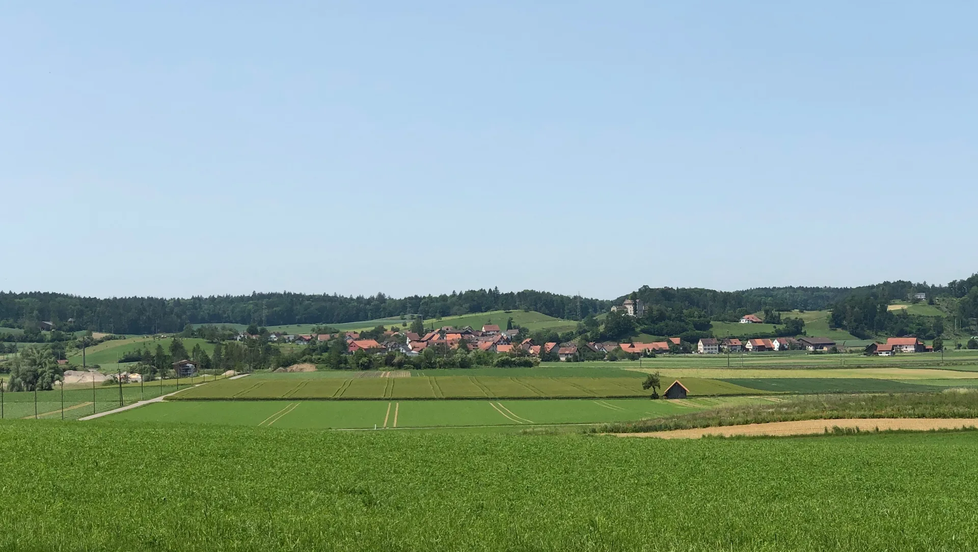 Waltalingen