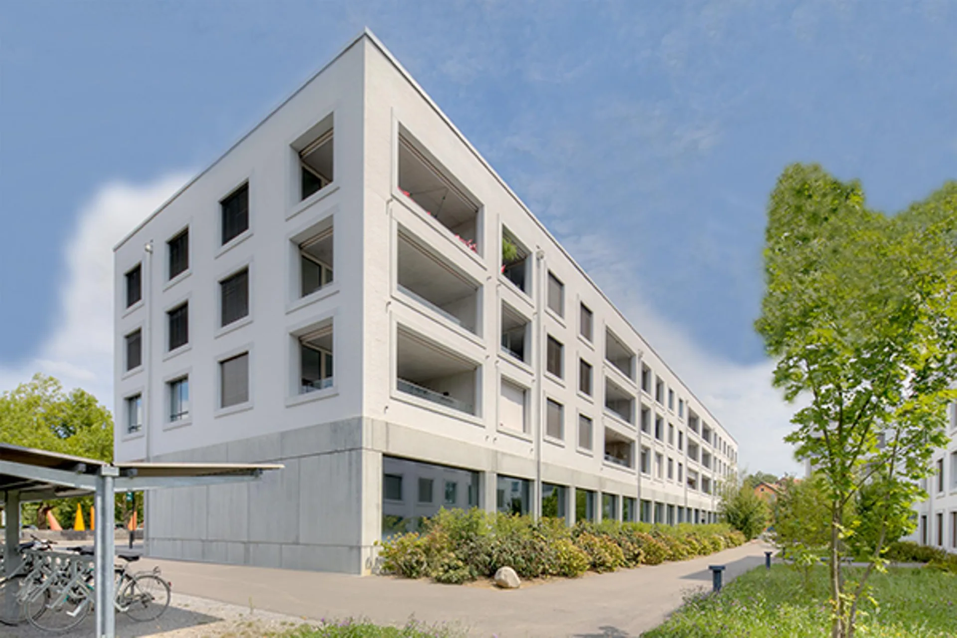 Wagen Sie einen Neuanfang
