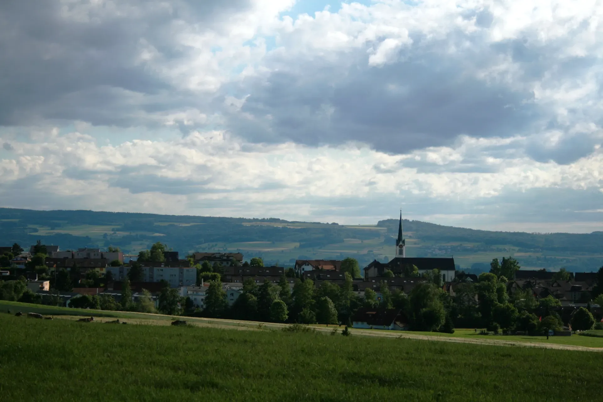 Berikon