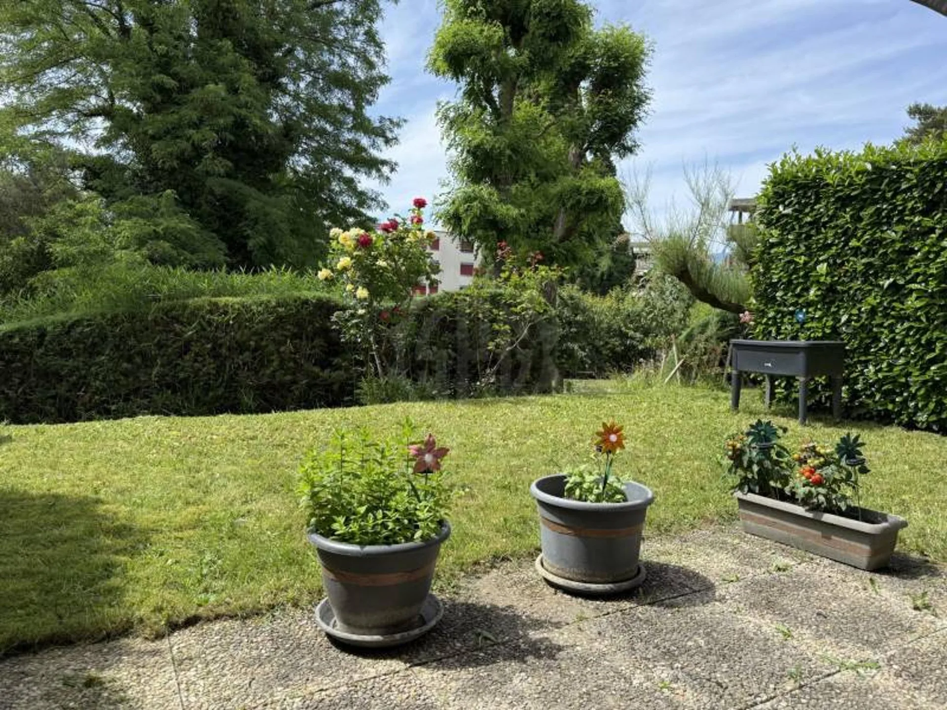 Schönes Apartment - Yverdon-les-Bains