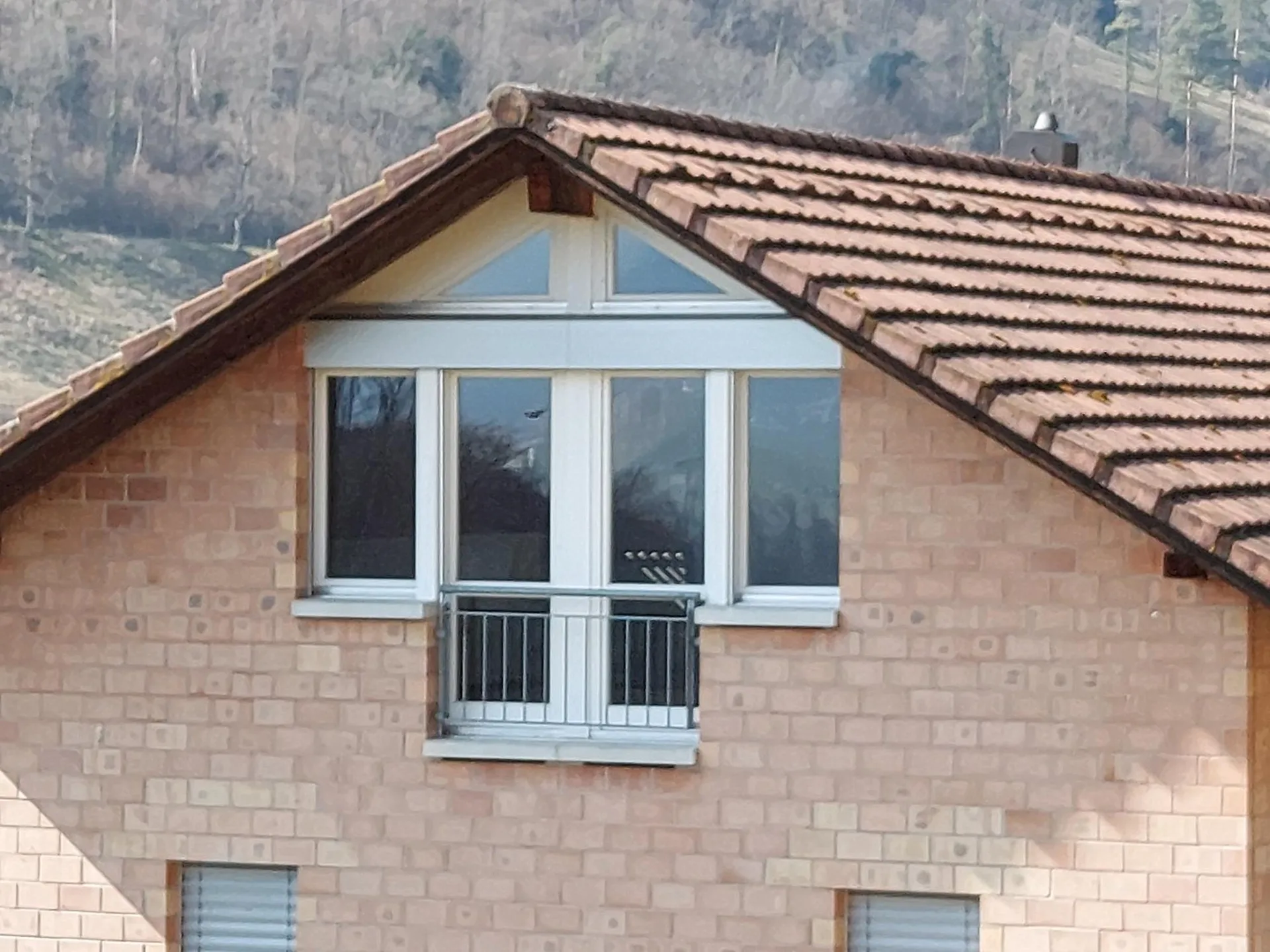 Grosszügige 1.5-Zimmerwohnung an sonniger Aussichtslage