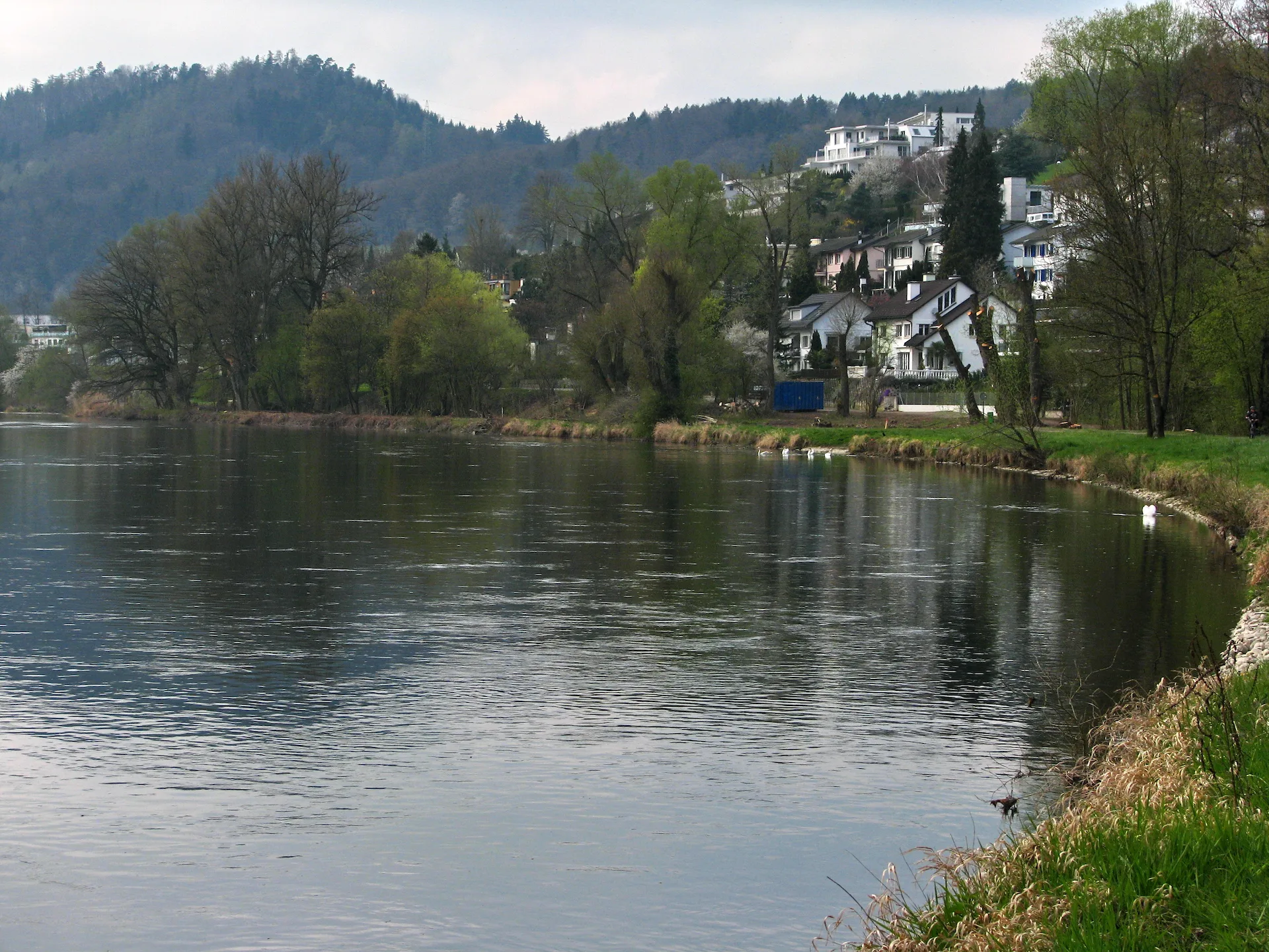 8954 Geroldswil