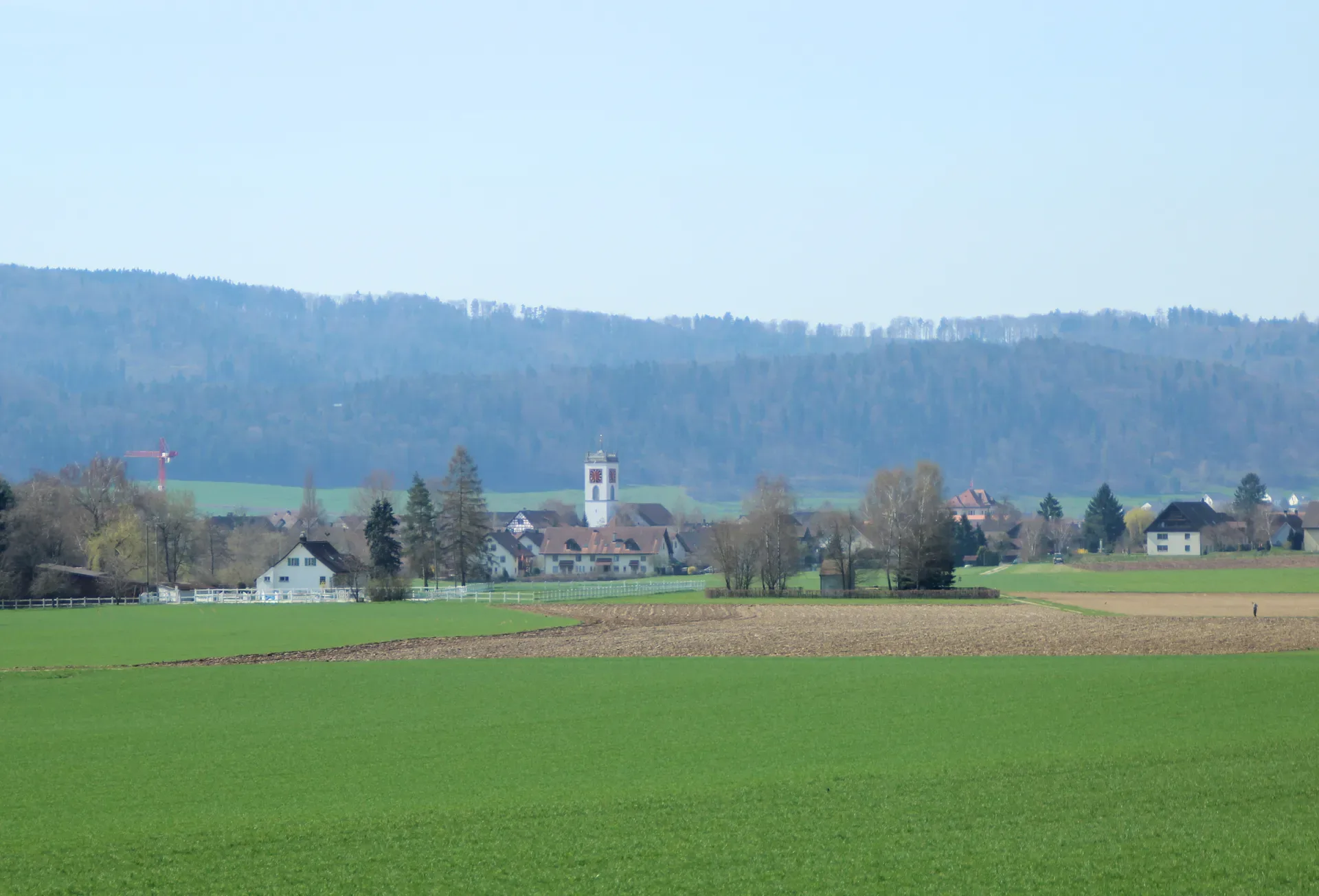 8413 Neftenbach