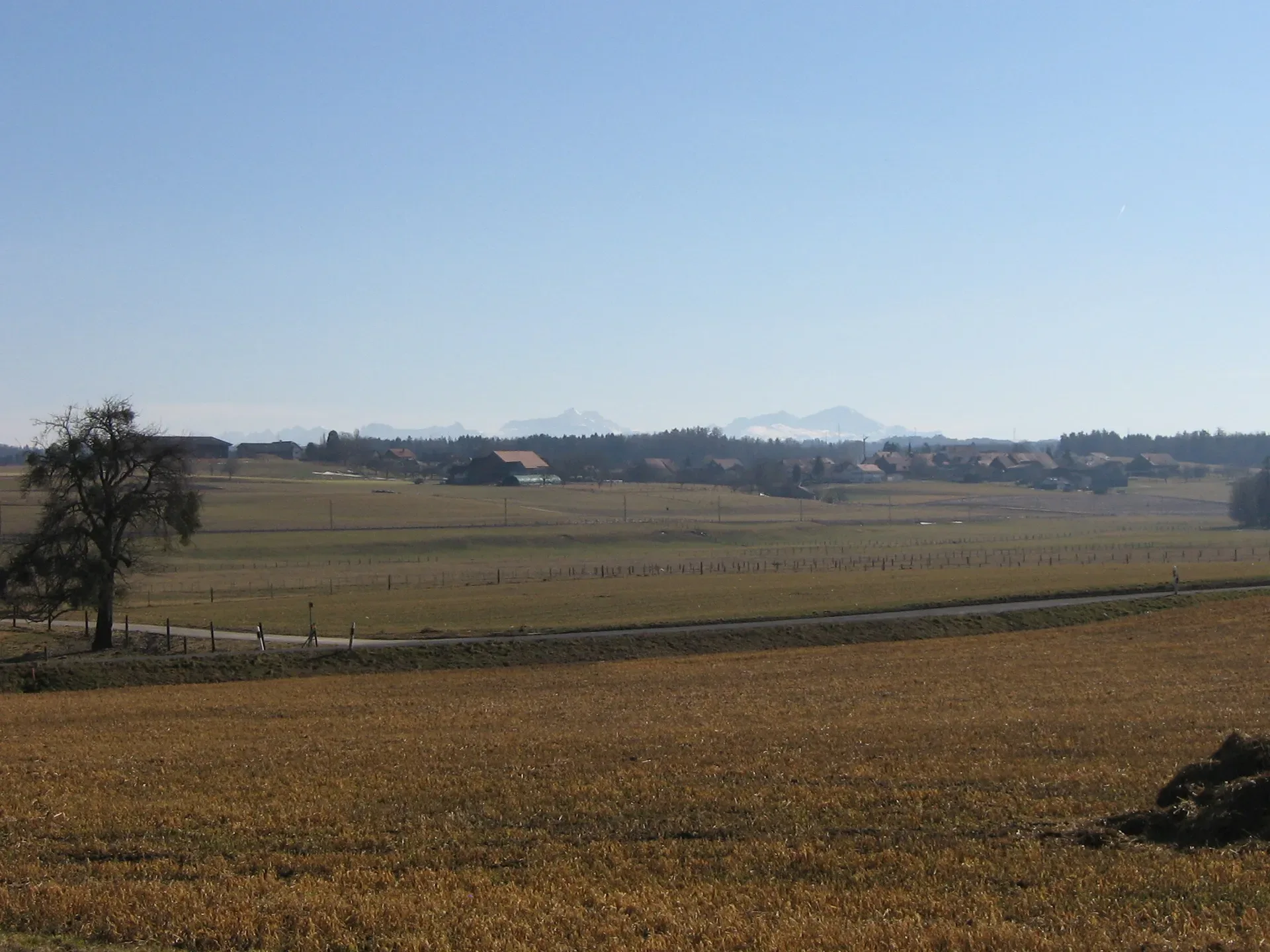 Montilliez