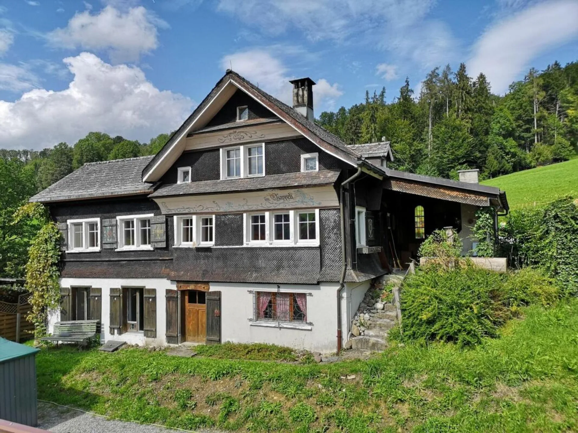 Renovationsbedürftiges 4-Zi.-Toggenburgerhaus mit Mehrzweckraum und zwei separaten Wieslandparzellen