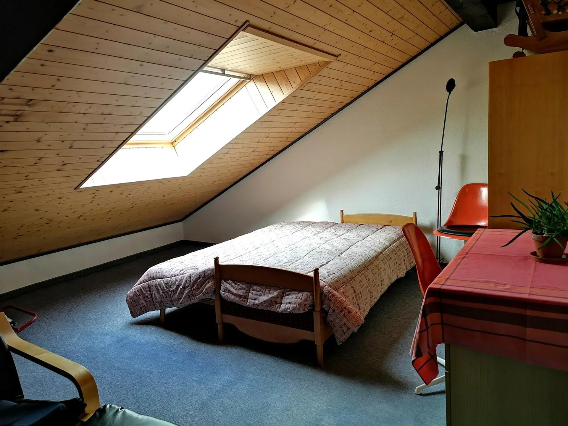 Bild 19