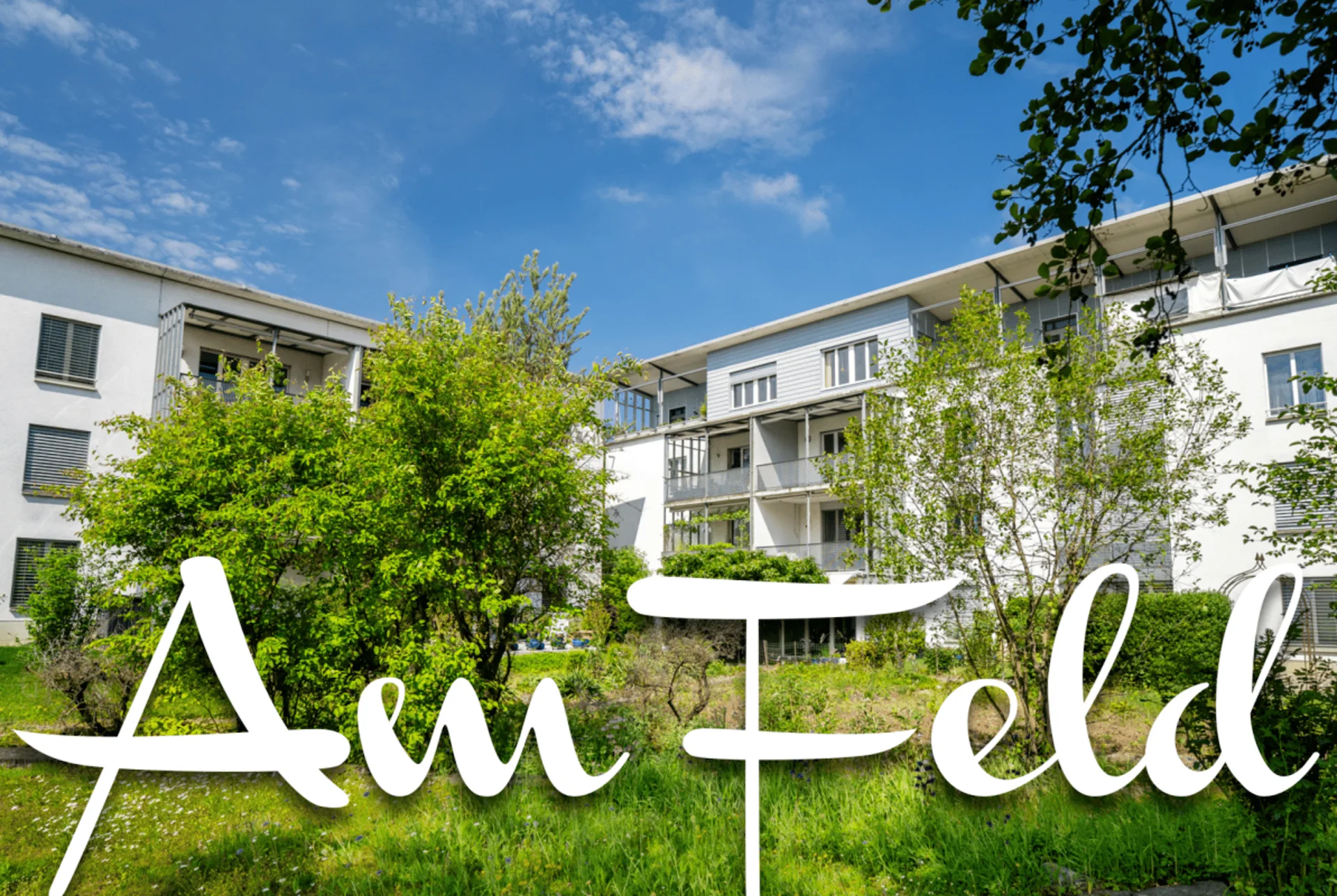 4.5 Zimmer Wohnung an schöner Lage in Seuzach