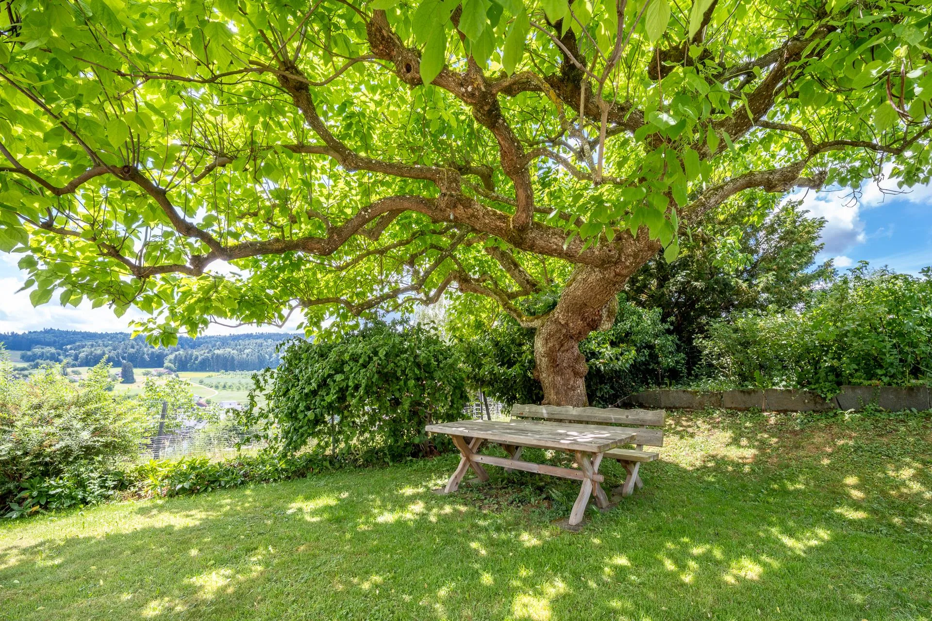 Tolles 5.5-Zimmer-Einfamilienhaus mit atemberaubender Aussicht