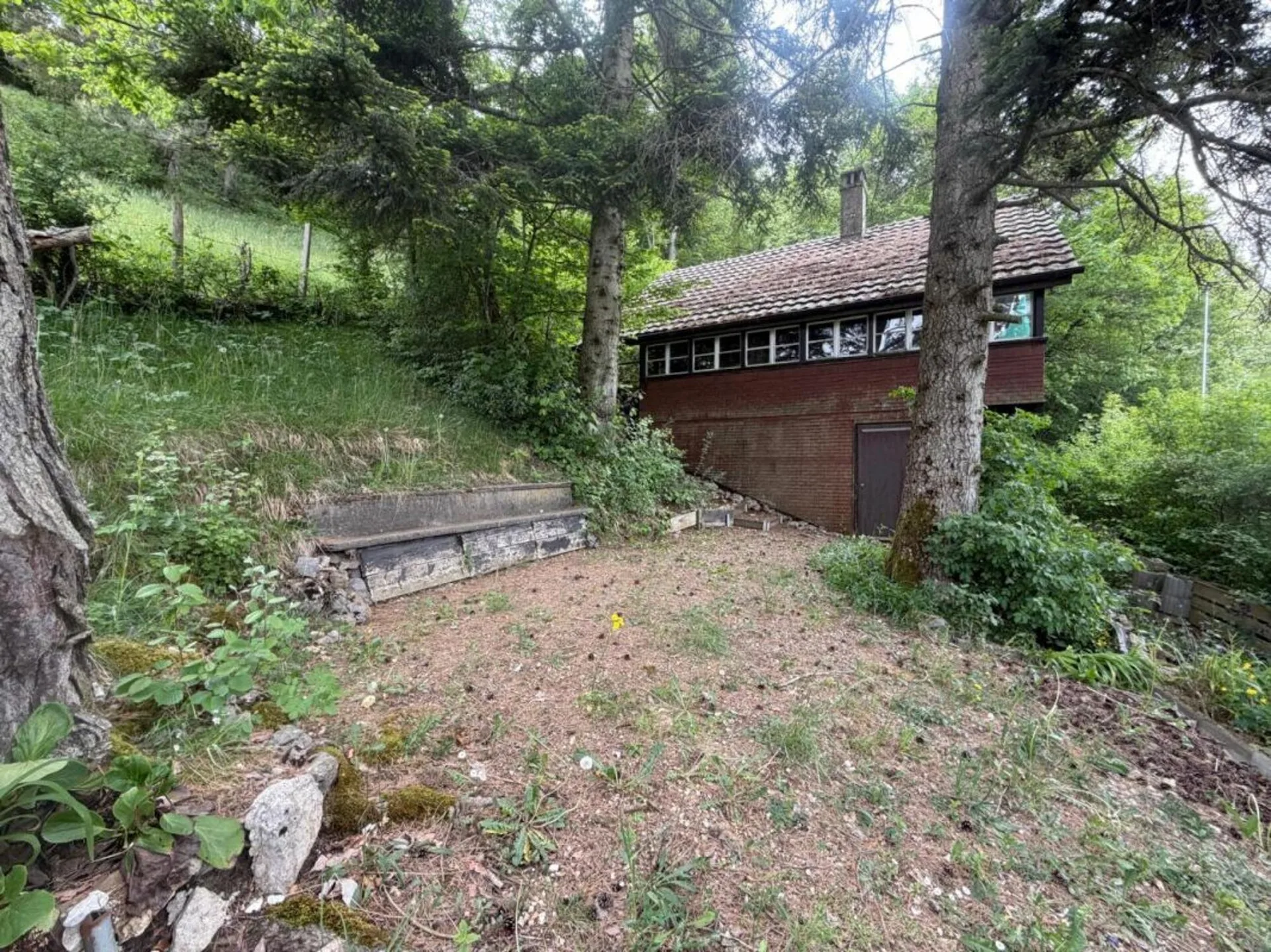 Bild 12
