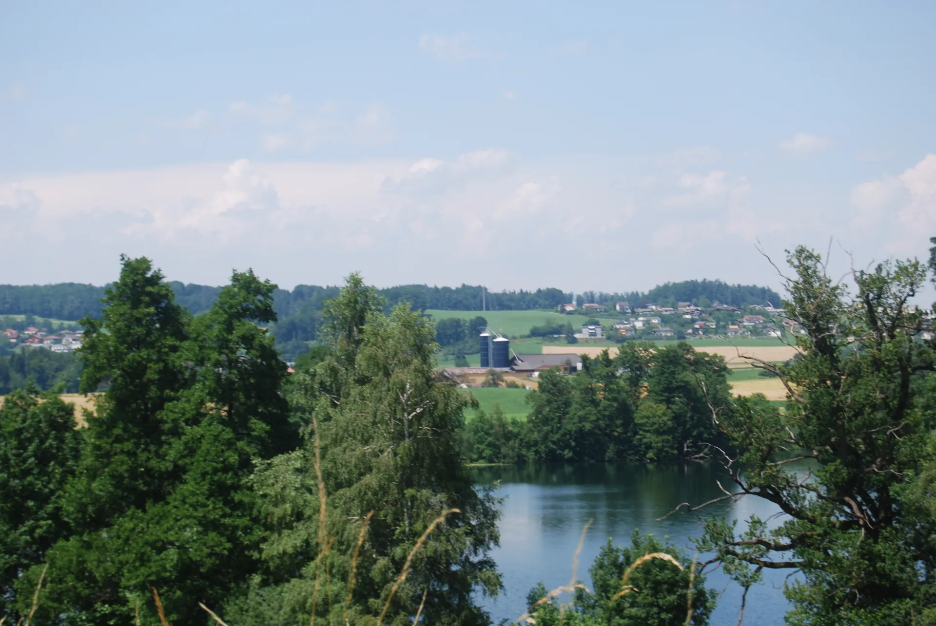Knutwil