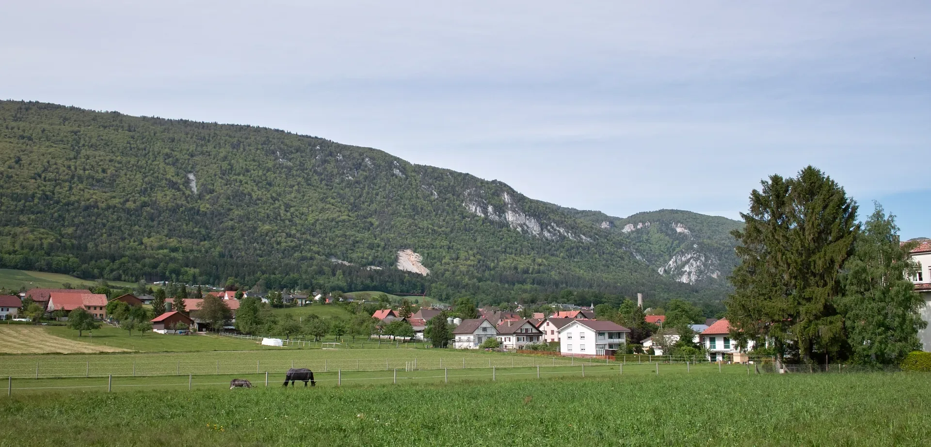 4514 Lommiswil