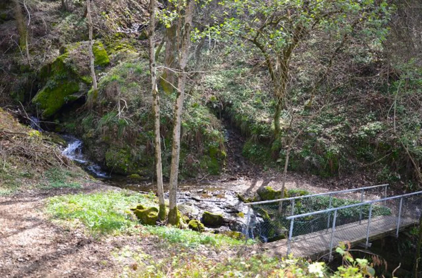 Image 36
