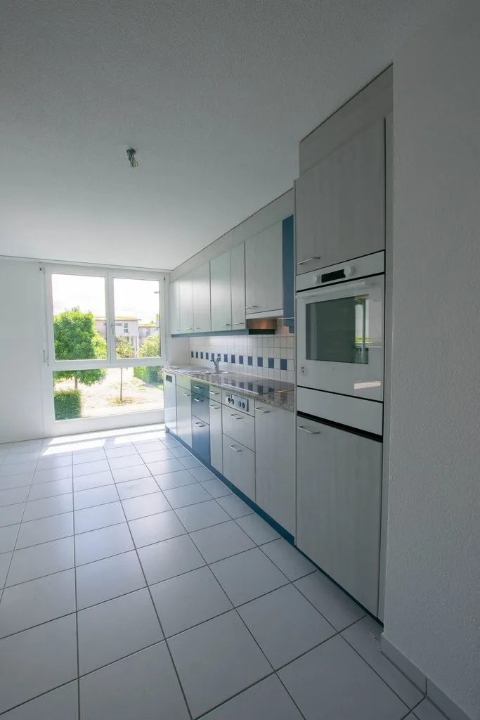 Helle und grosse Wohnung zum Vermieten