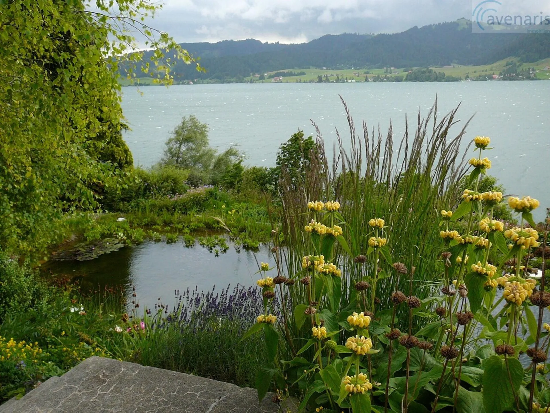 La tua casa dei sogni con una vista panoramica sul lago di Sihl