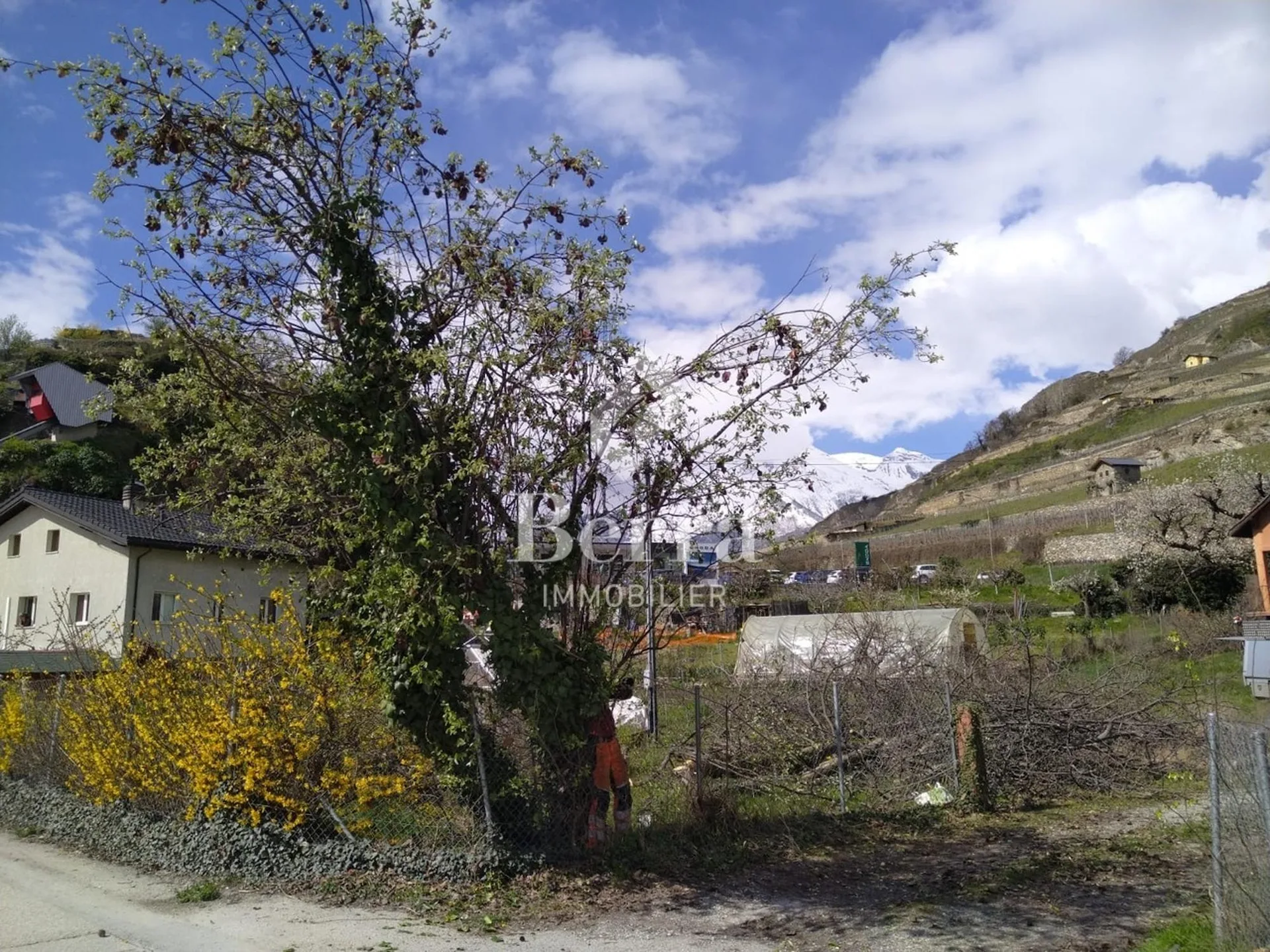 Image 11