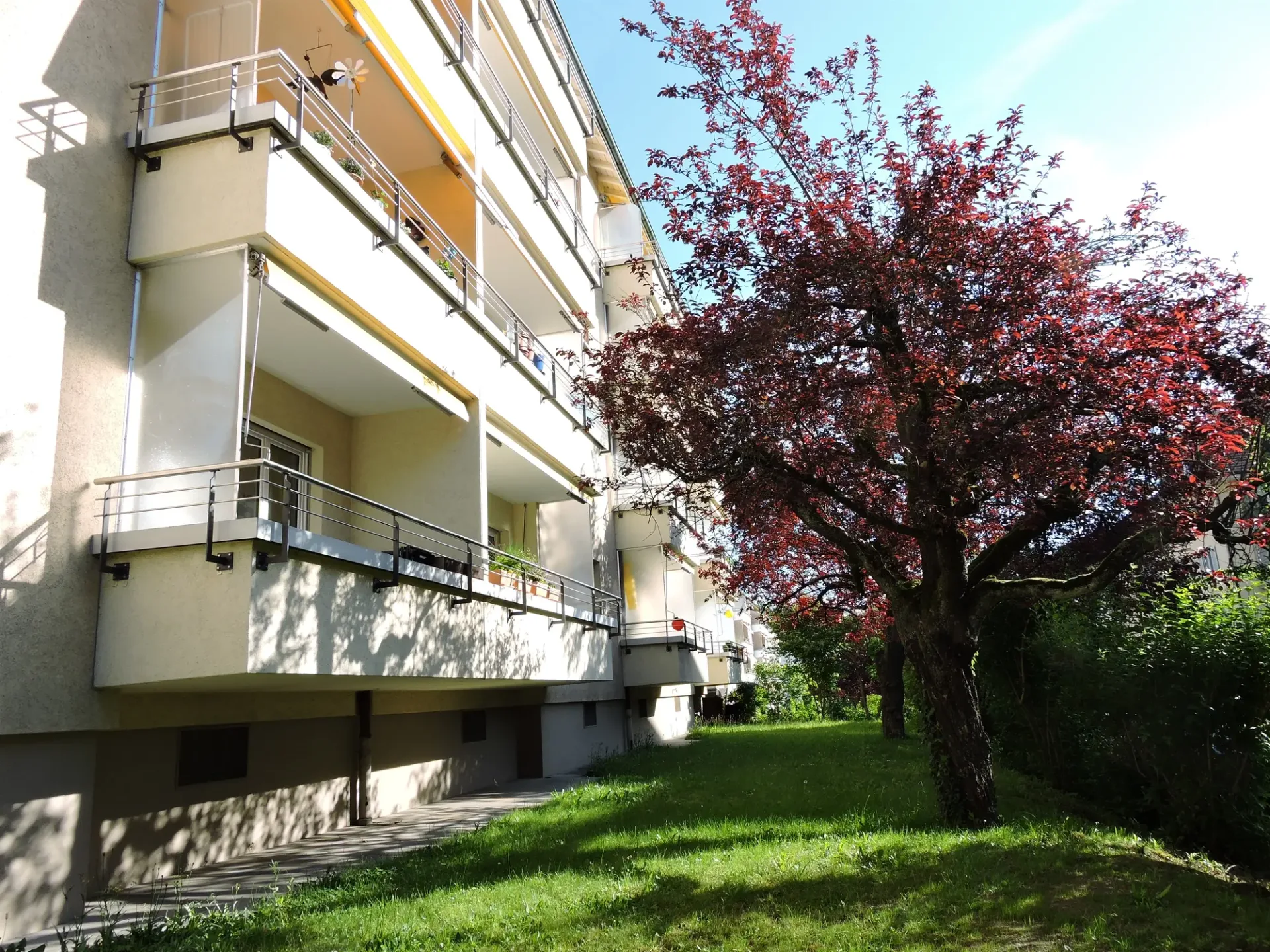 Wohnen im schönen Fischermätteli-Quartier?