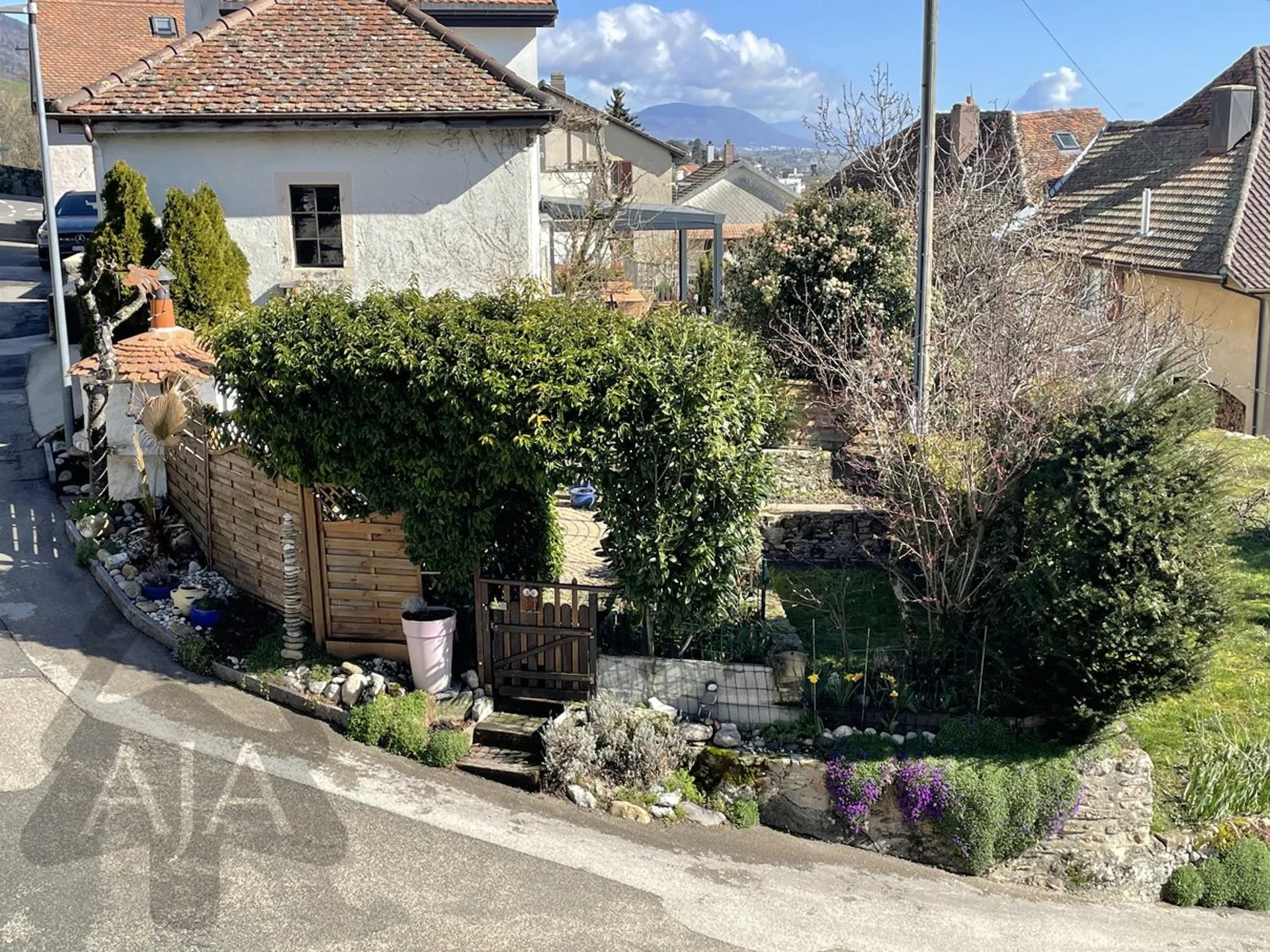 Image 12