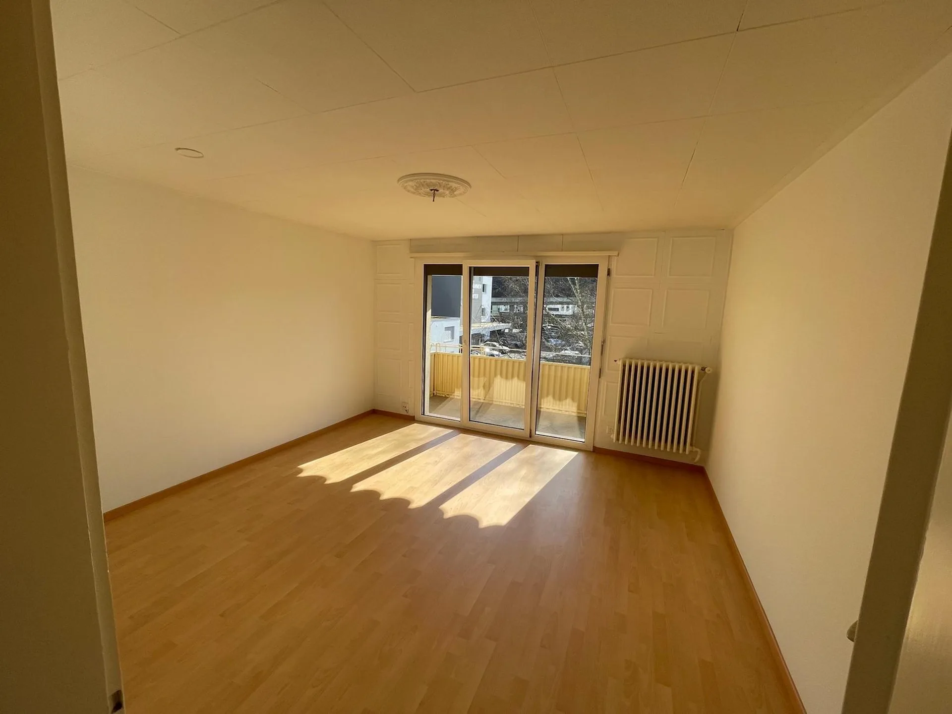 Charmant appartement 3 pièces à Emmenbrücke