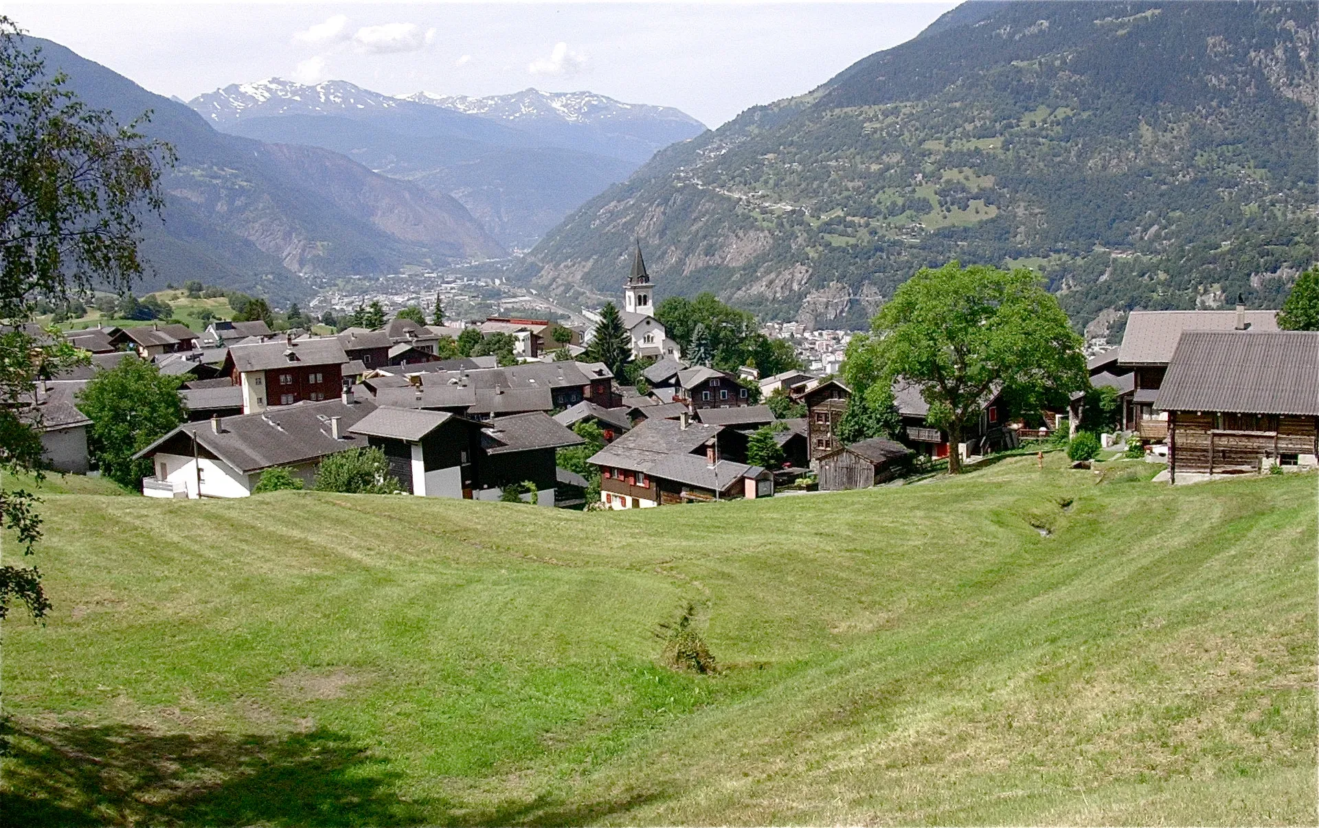 Termen