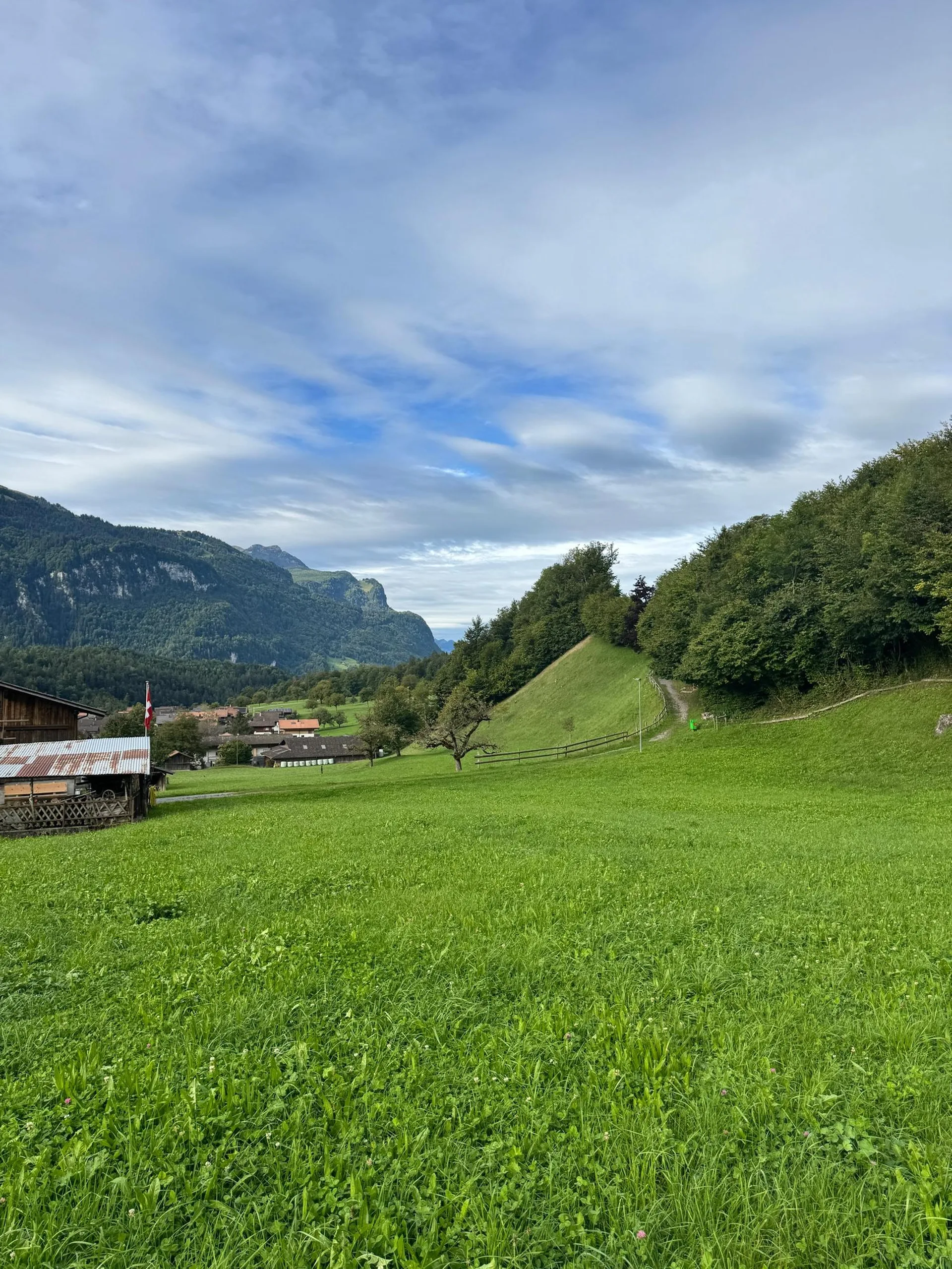 Bild 19
