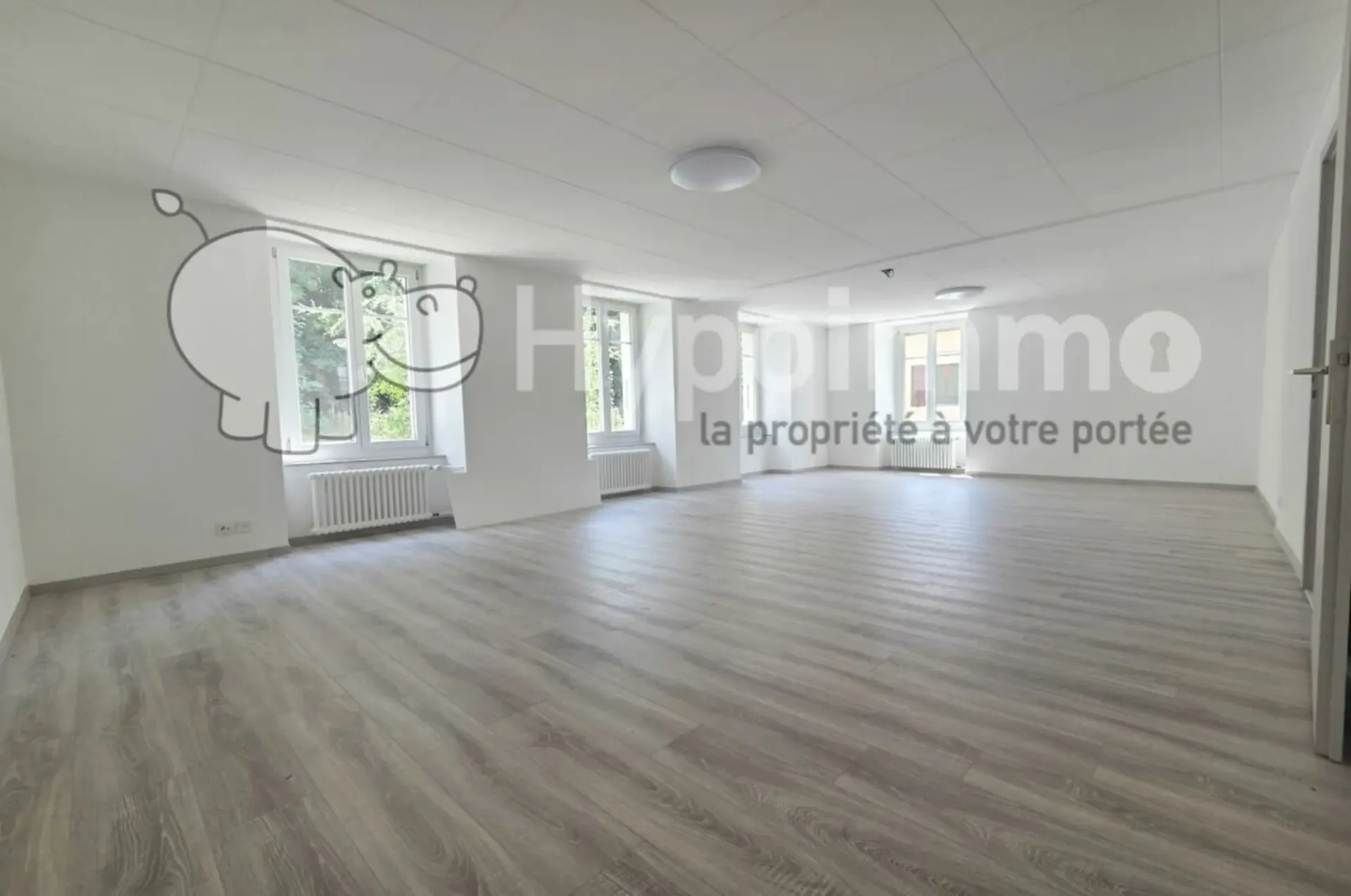 Vollständig renovierte Wohnung oder Gewerberaum