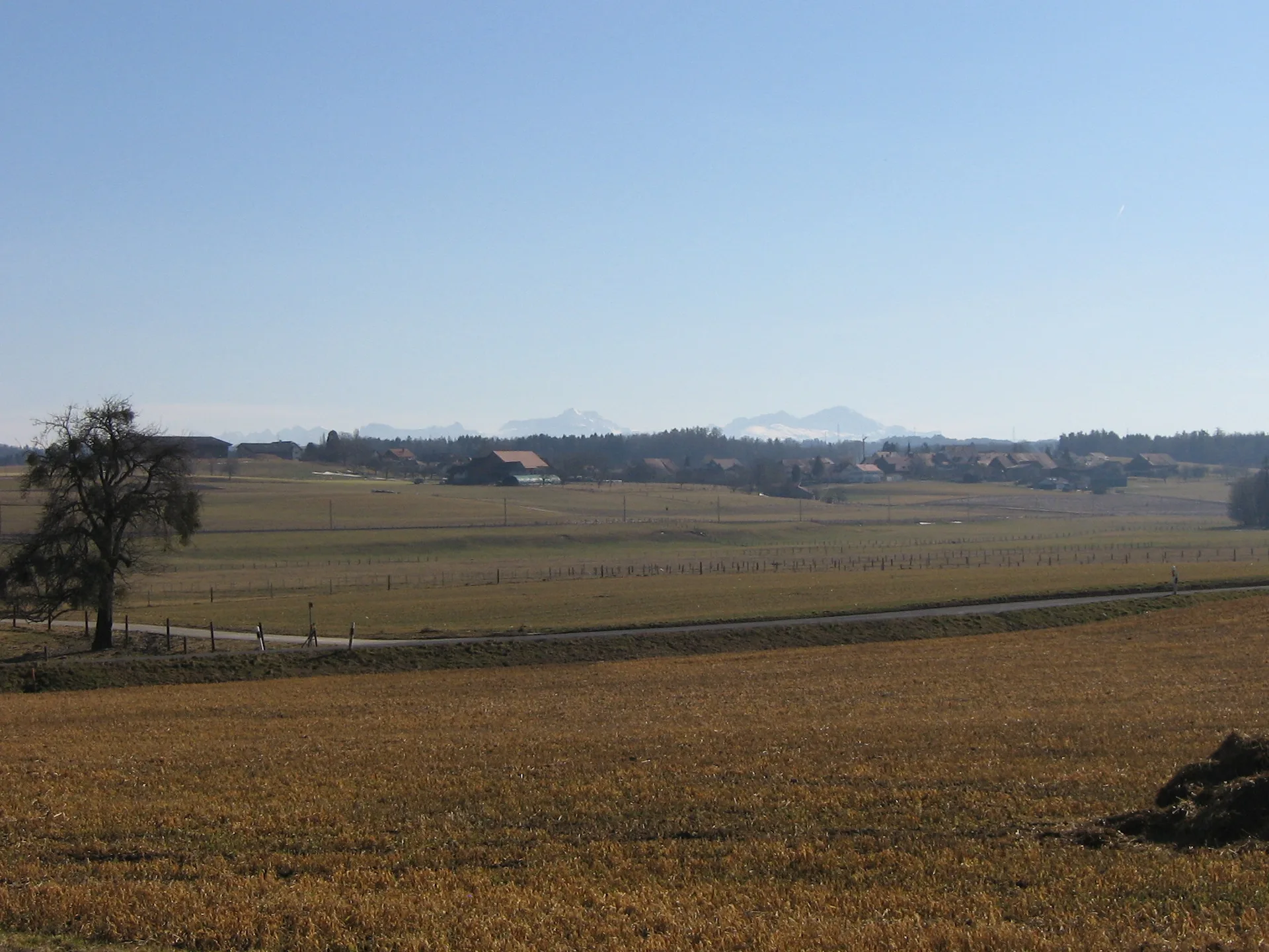 Montilliez