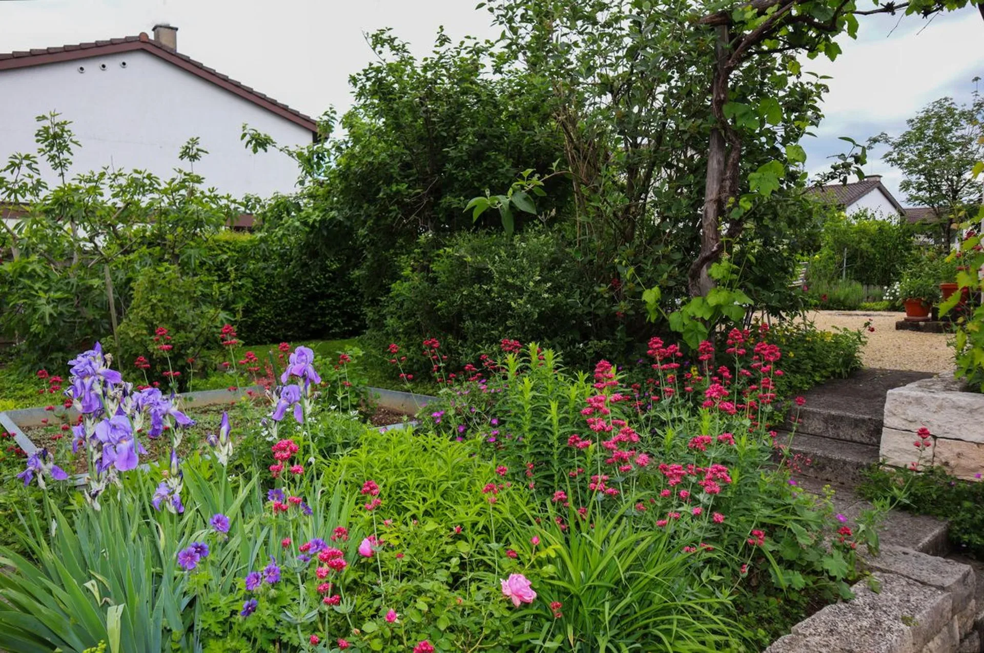 Image 12