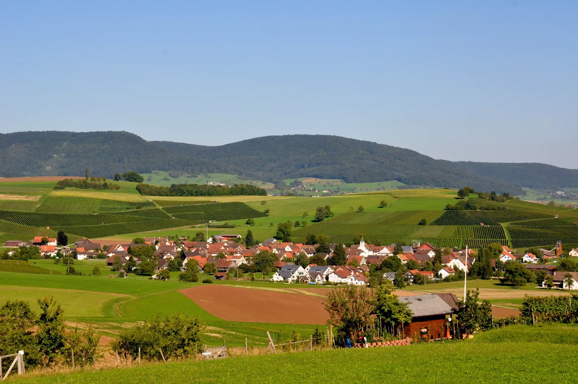 Oberhallau