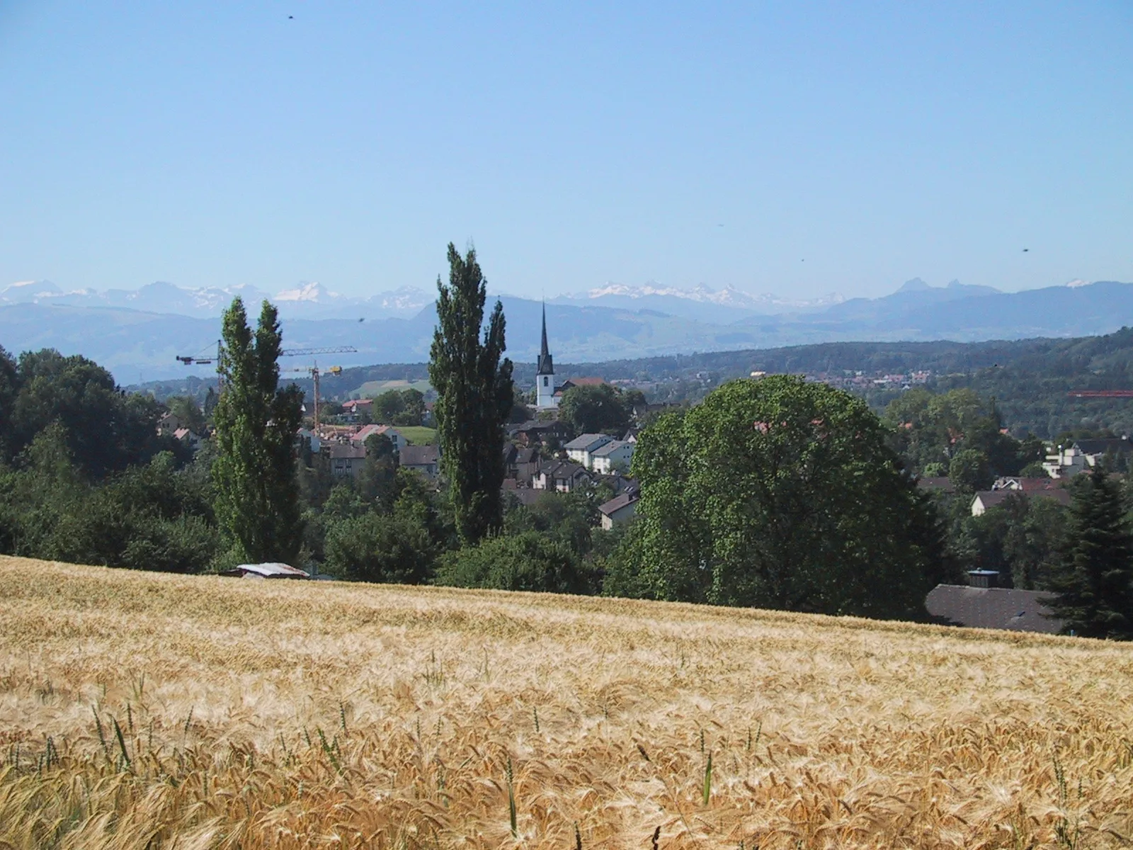 8626 Ottikon (Gossau ZH)