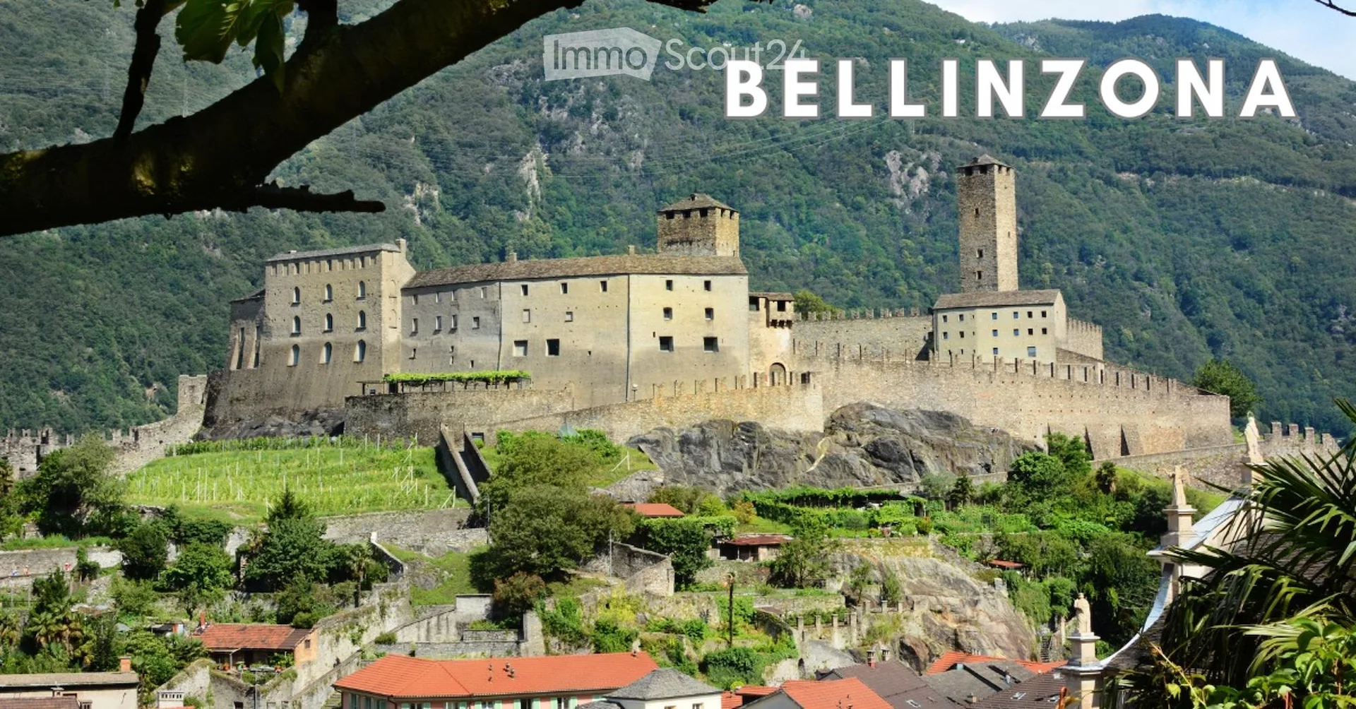 Grazioso 4.5, Bellinzona