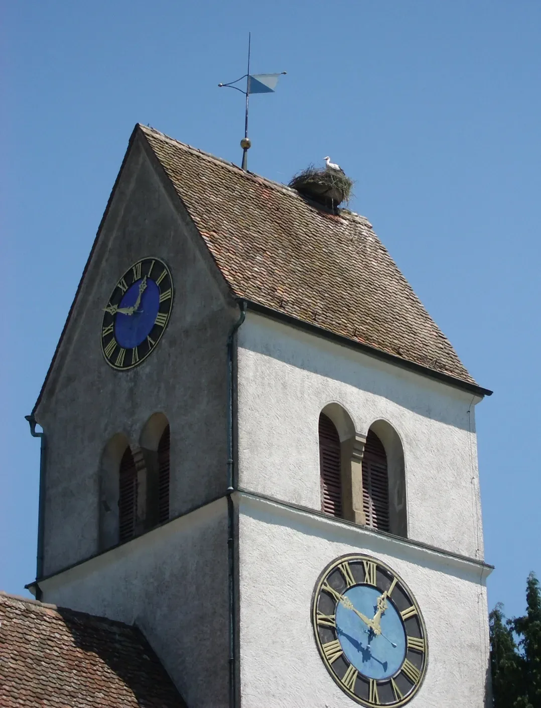 Steinmaur