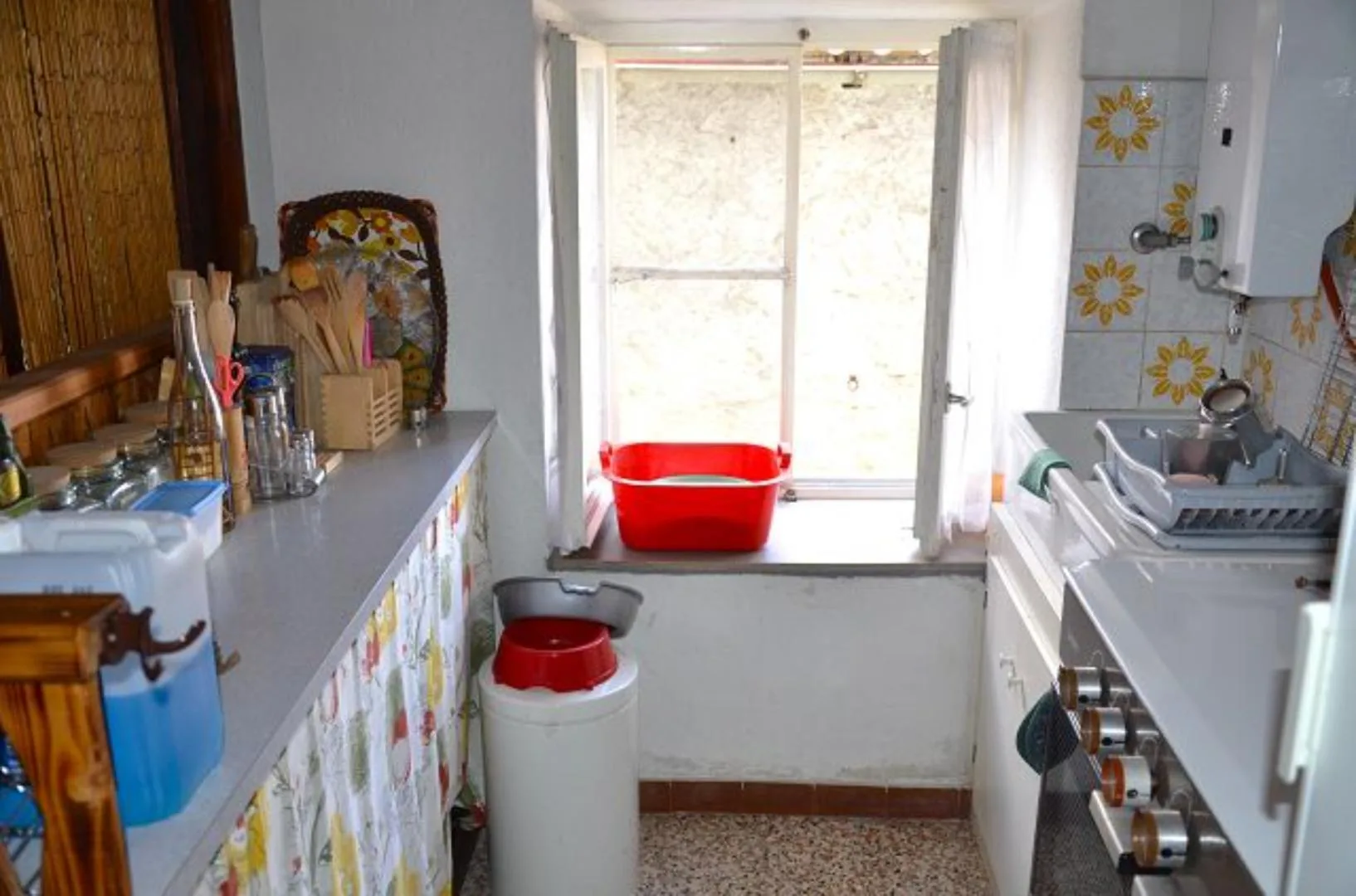 Image 7