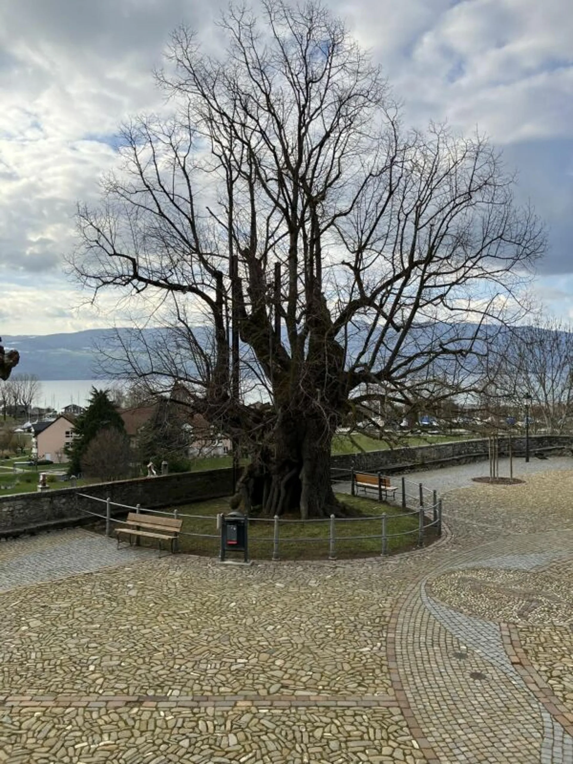 Image 13