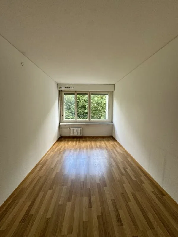 Immagine 8