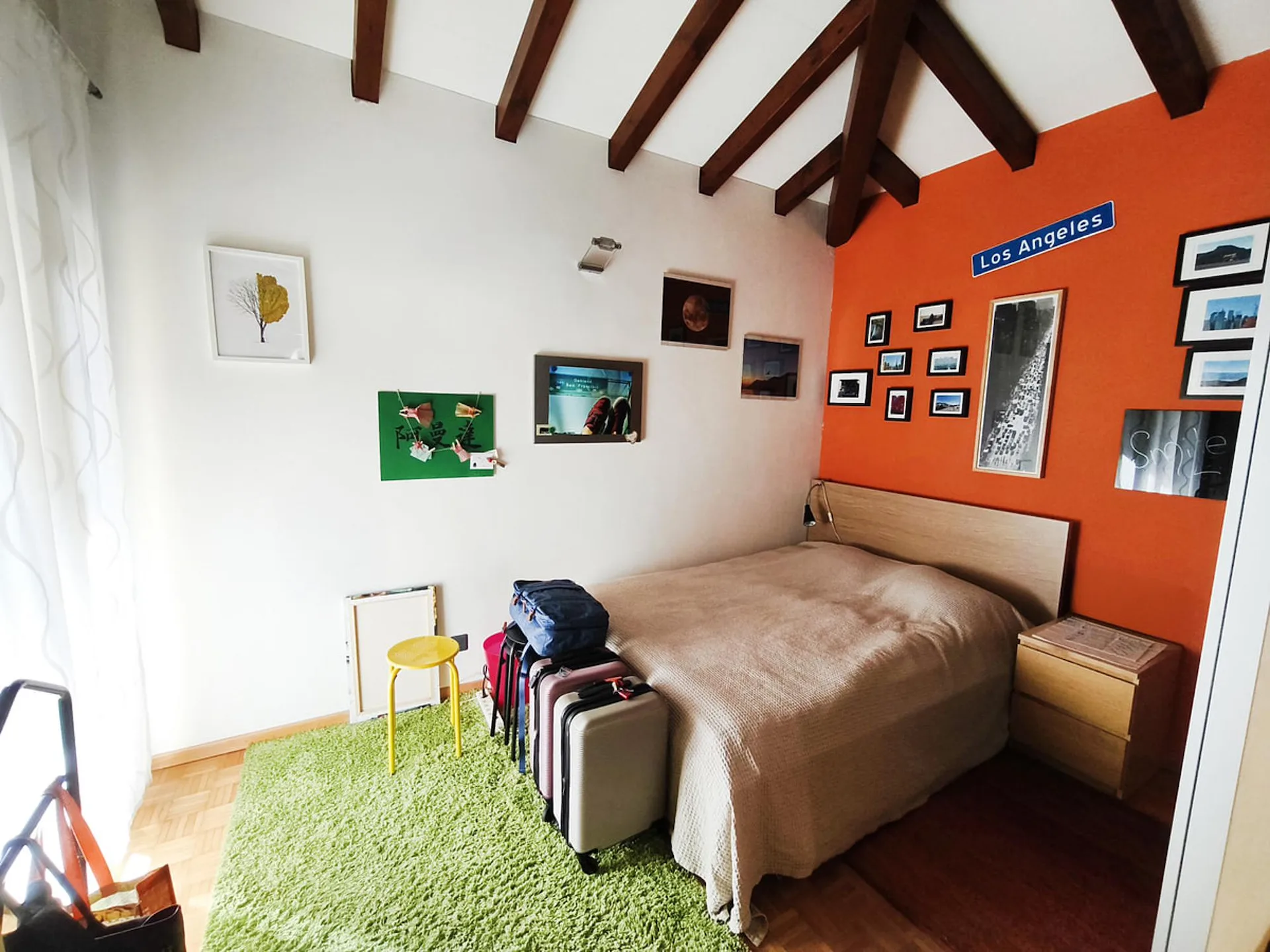 Immagine 9