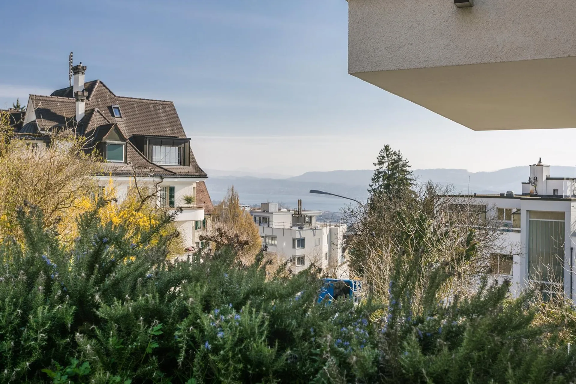 Naturnahes Wohnen am Zürichberg