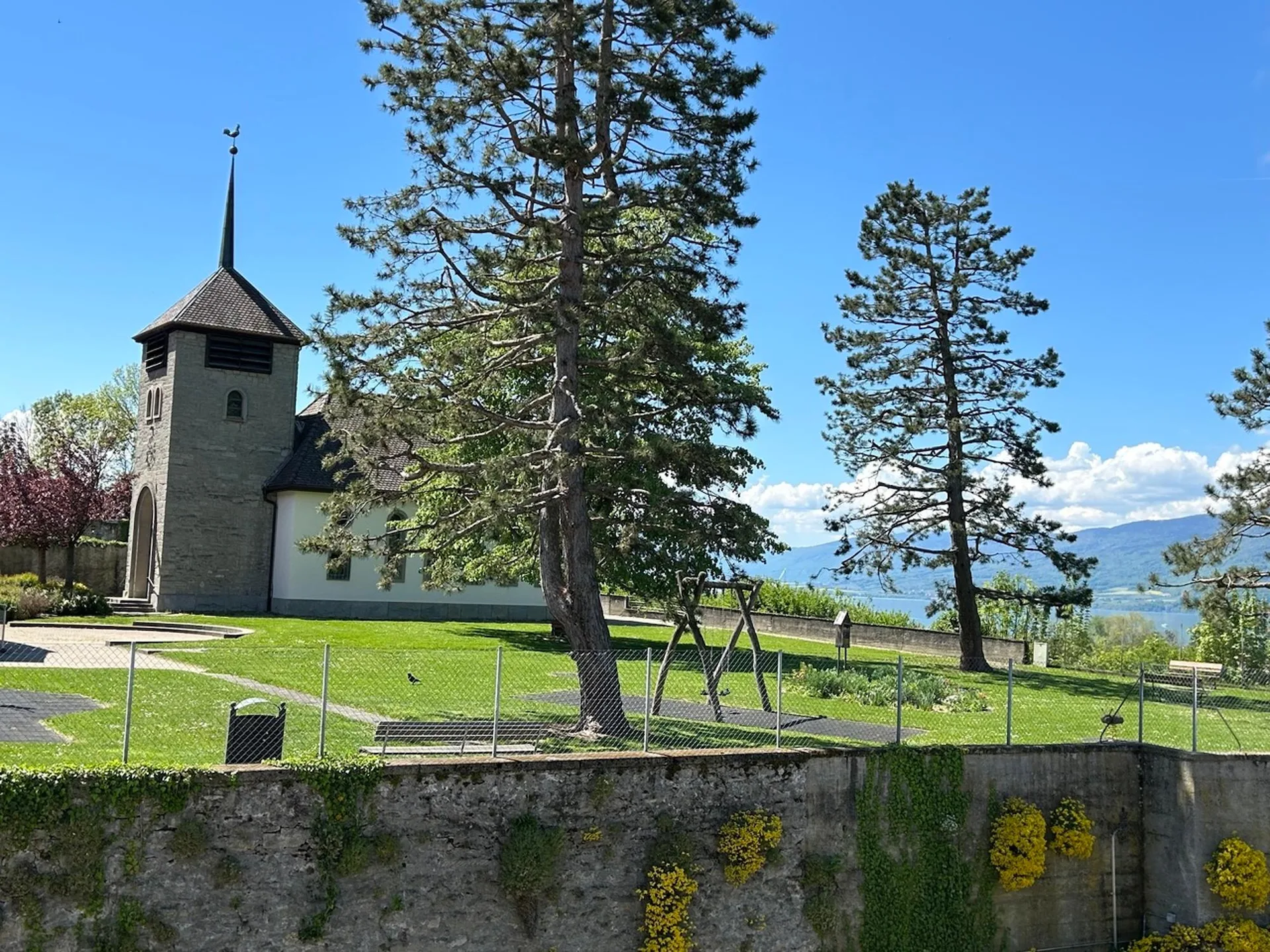 Image 6