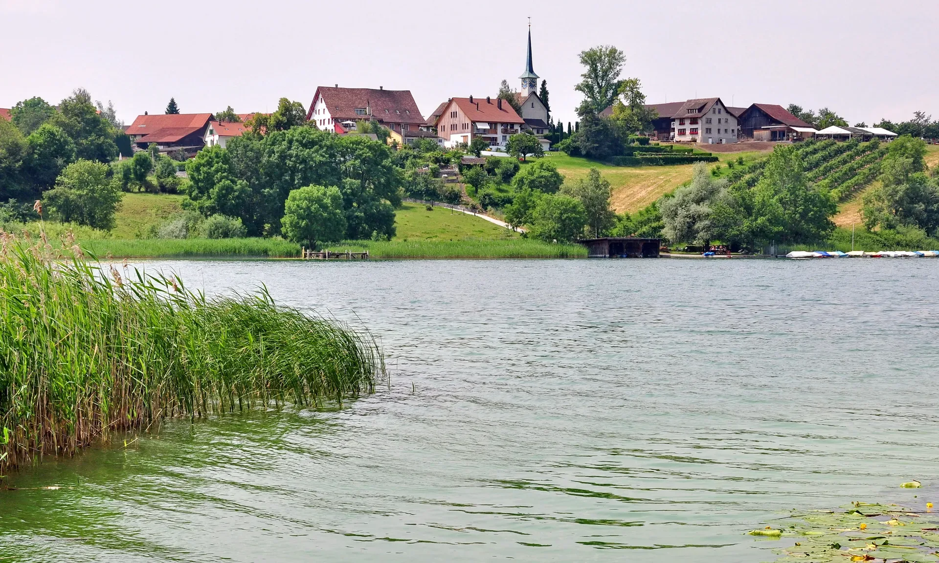 8607 Aathal-Seegräben