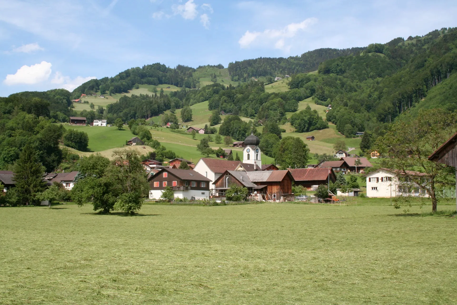Schänis
