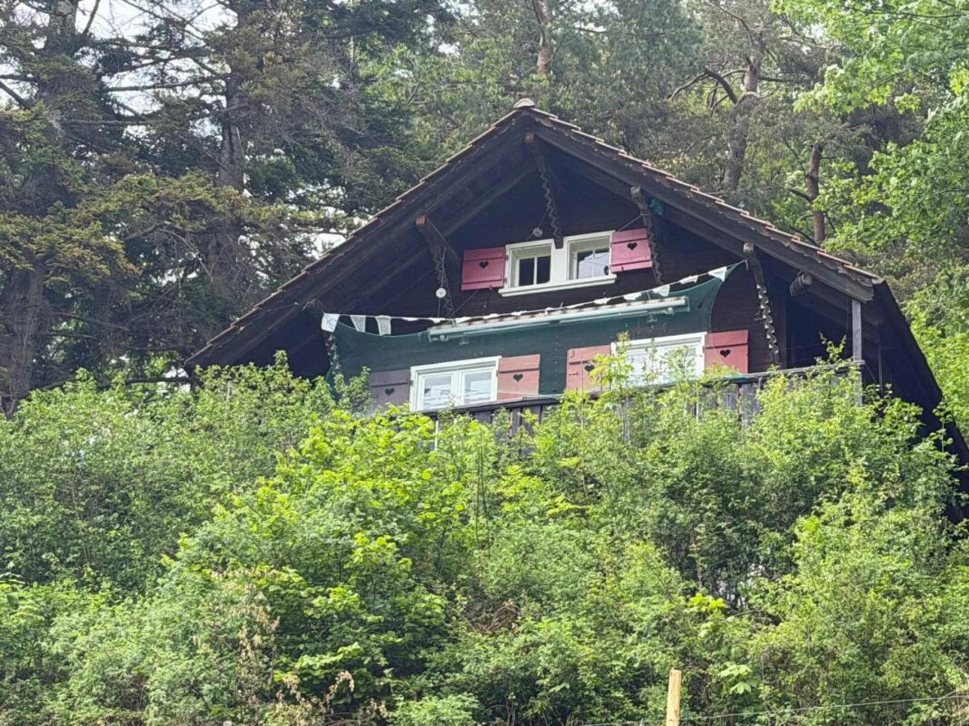 Bild 14
