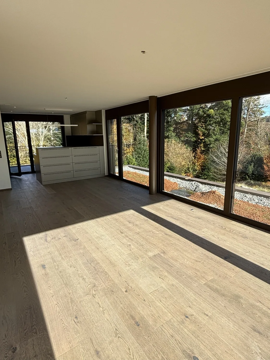 Neubau 3.5 Zimmer-Attika-Wohnung mit zwei Terrassen wundervoller Aussicht